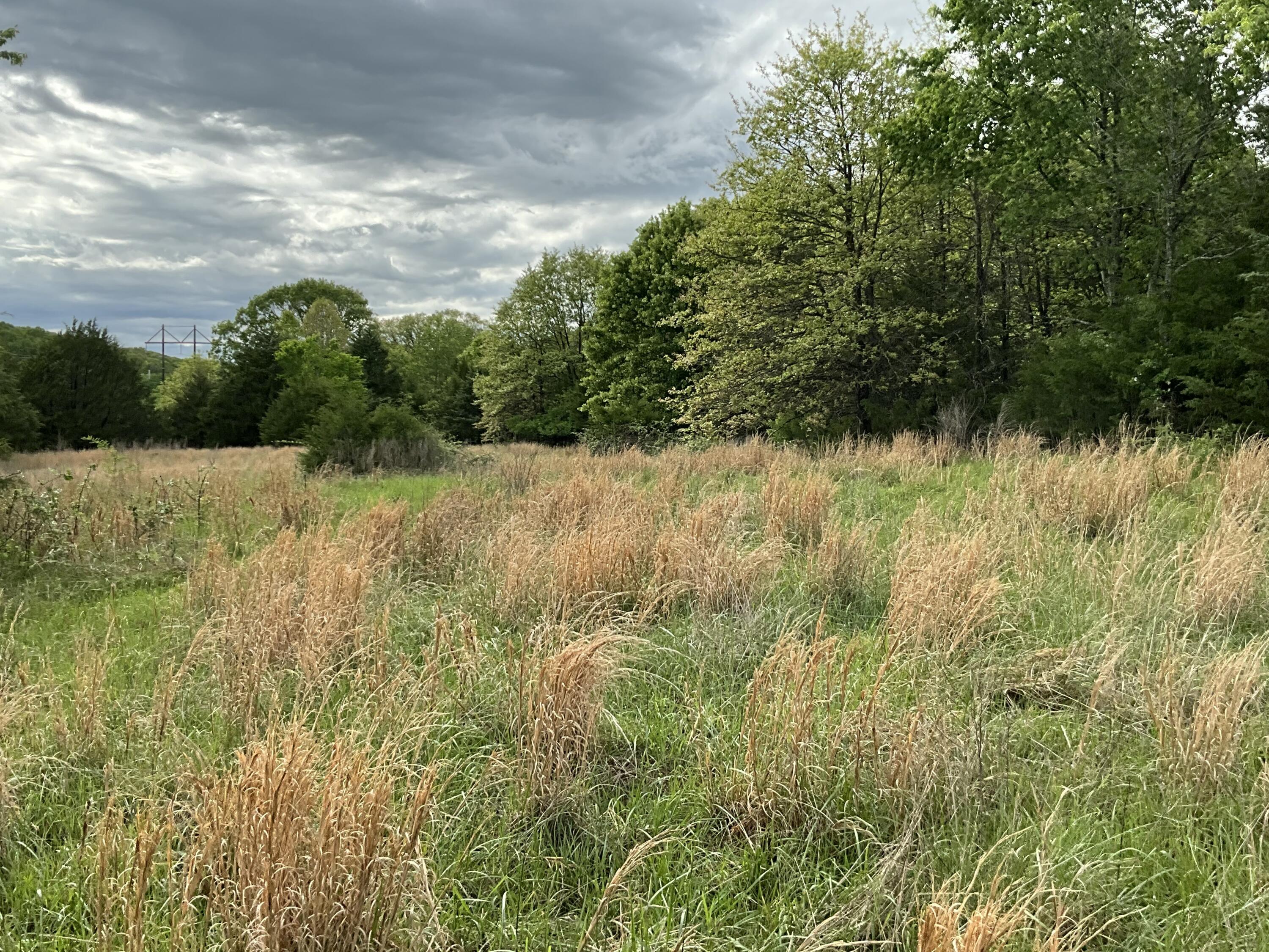 Photo 27 - Land for sale – 000  County Road 6750 Road  West Plains, MO