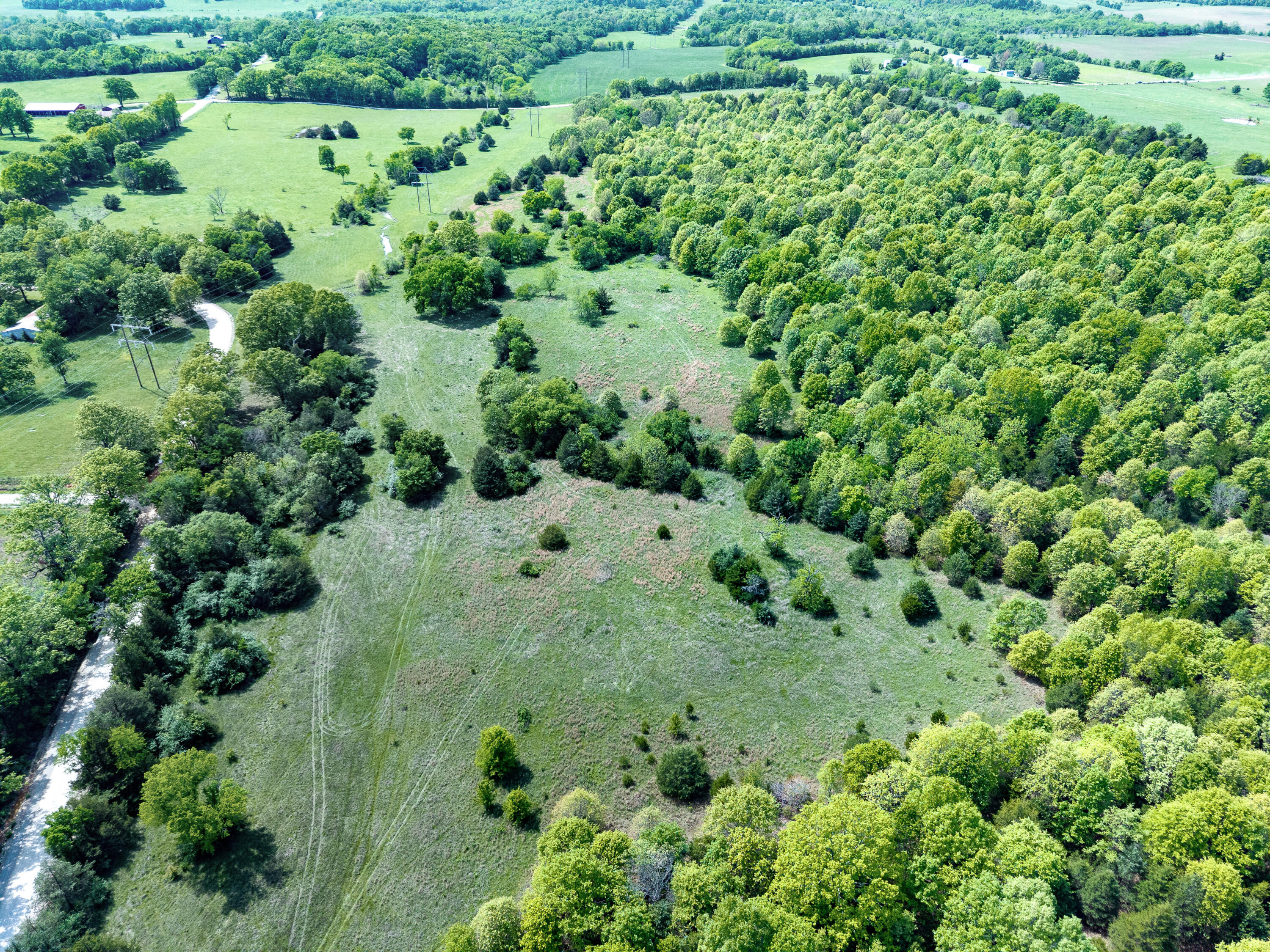 Photo 40 - Land for sale – 000  County Road 6750 Road  West Plains, MO