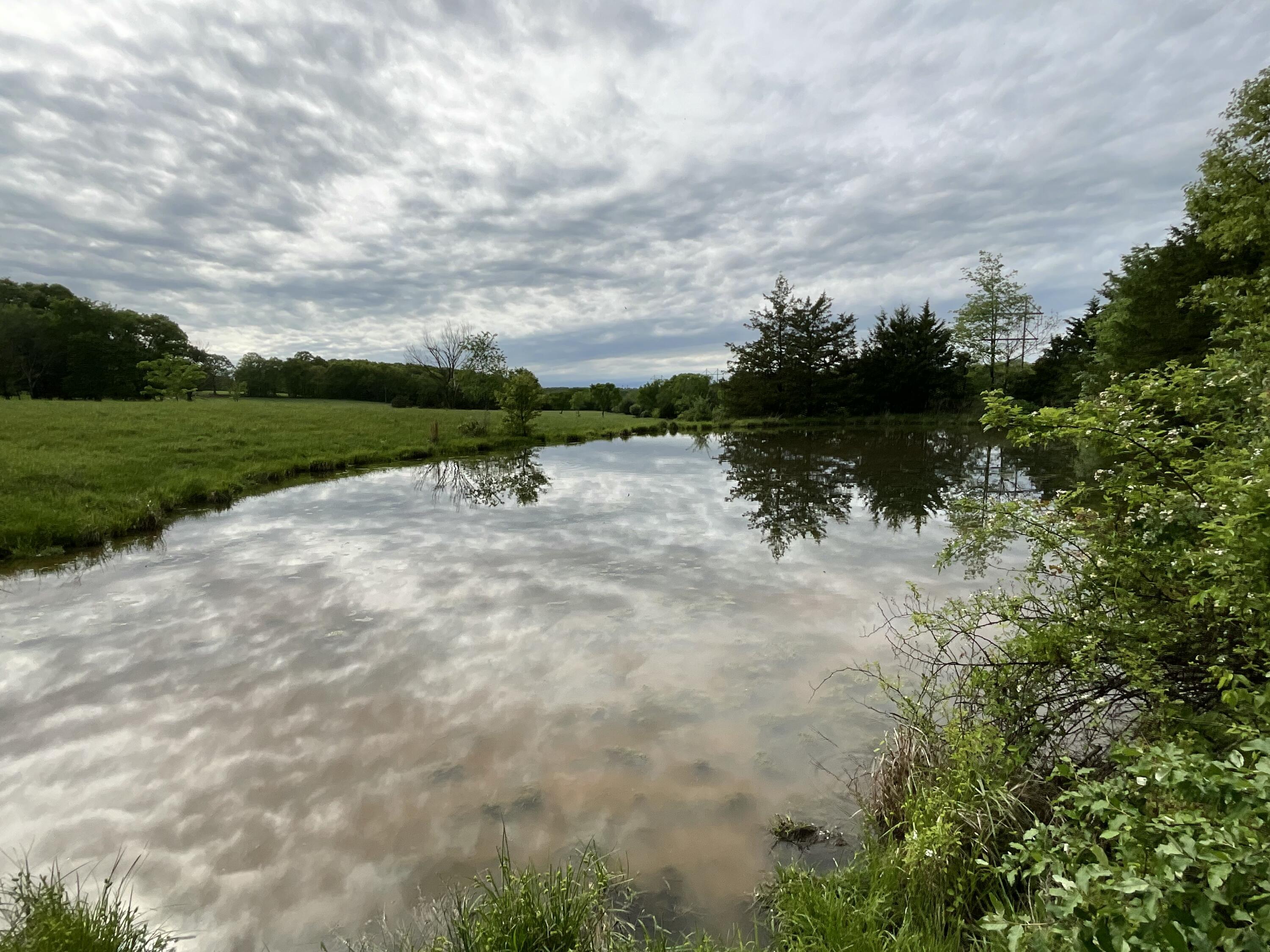 Photo 12 - Land for sale – 000  County Road 6750 Road  West Plains, MO