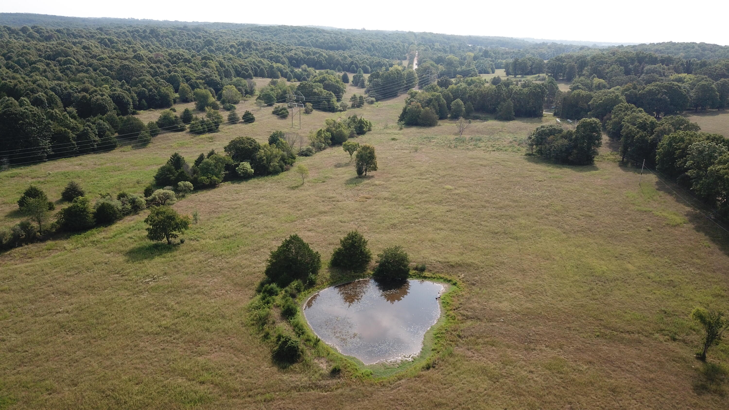 Photo 46 - Land for sale – 000  County Road 6750 Road  West Plains, MO