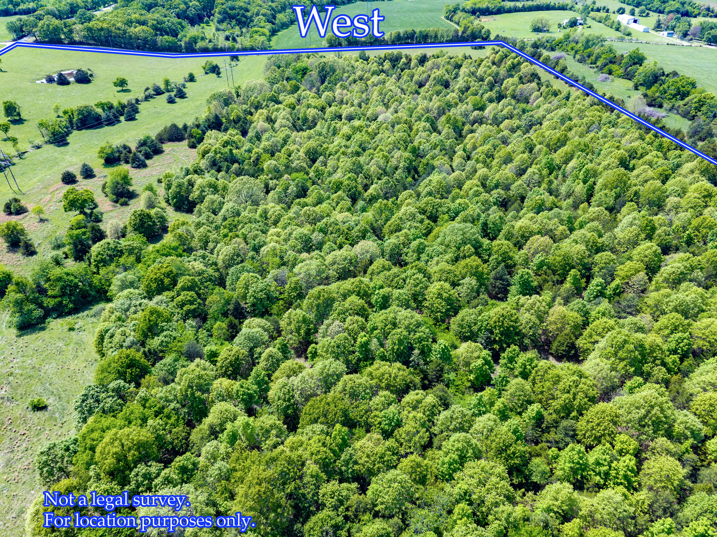 Photo 39 - Land for sale – 000  County Road 6750 Road  West Plains, MO