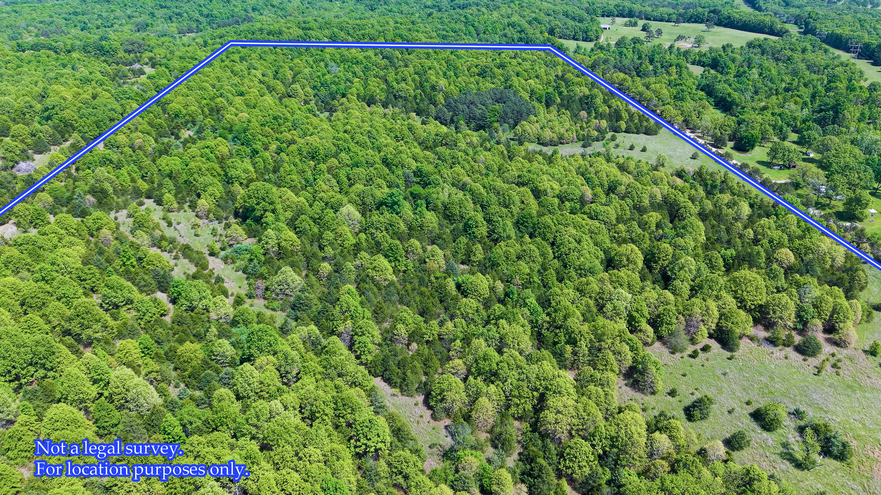 Photo 38 - Land for sale – 000  County Road 6750 Road  West Plains, MO