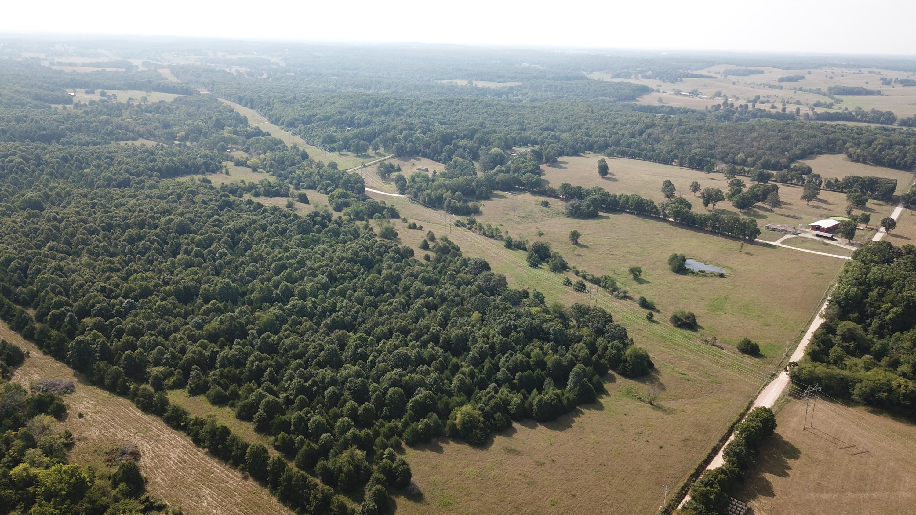 Photo 47 - Land for sale – 000  County Road 6750 Road  West Plains, MO