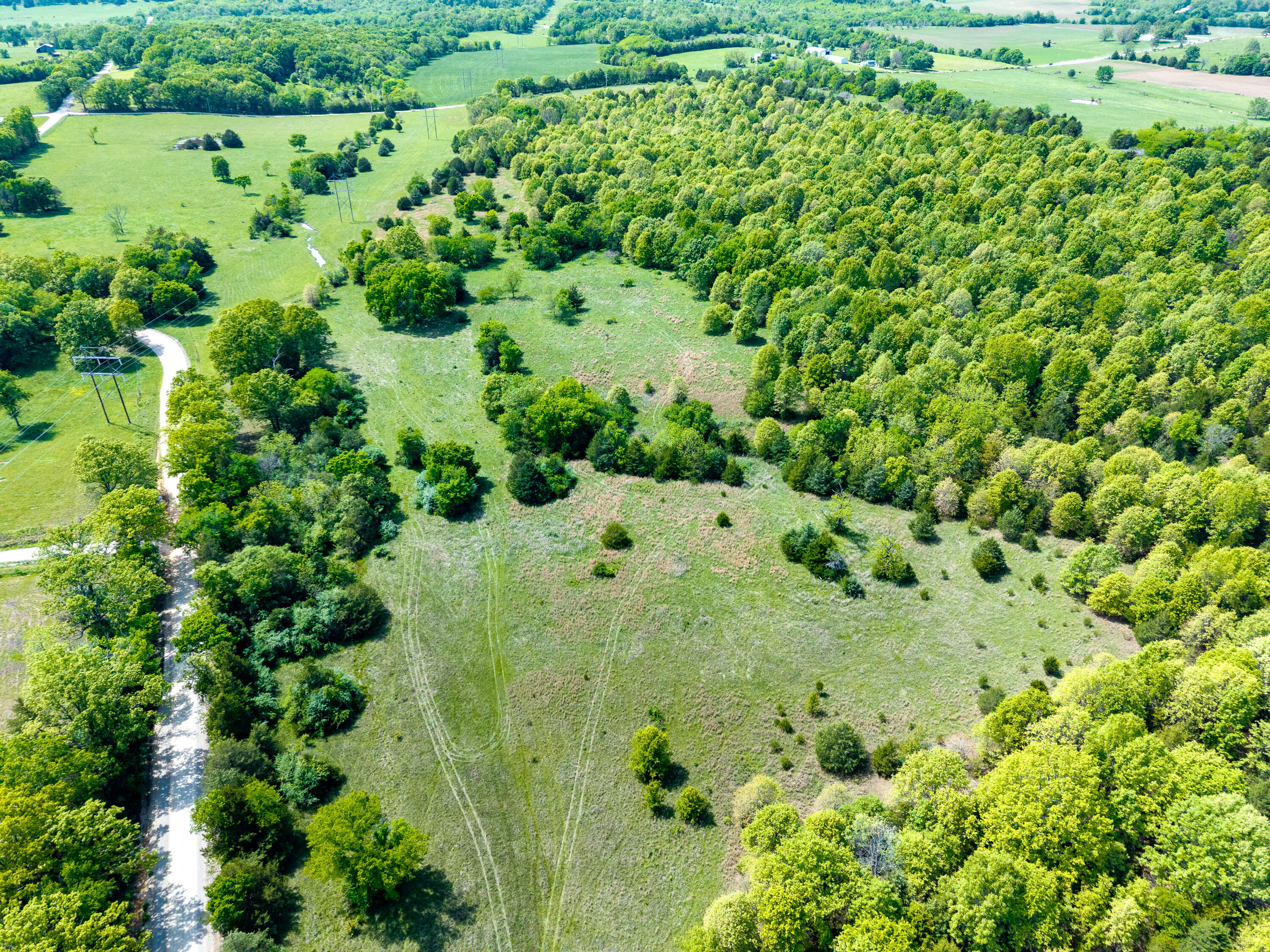 Photo 42 - Land for sale – 000  County Road 6750 Road  West Plains, MO