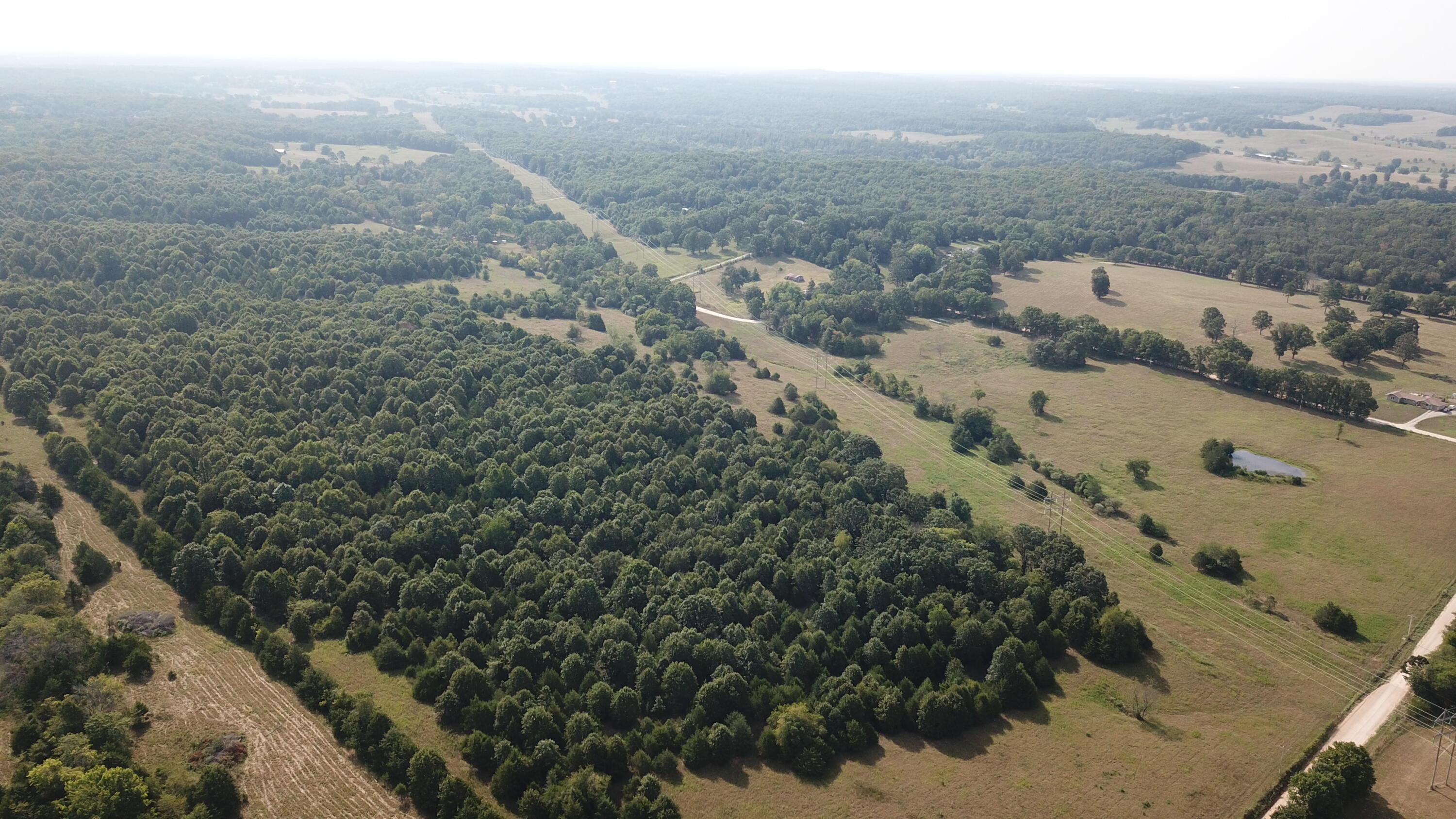 Photo 48 - Land for sale – 000  County Road 6750 Road  West Plains, MO