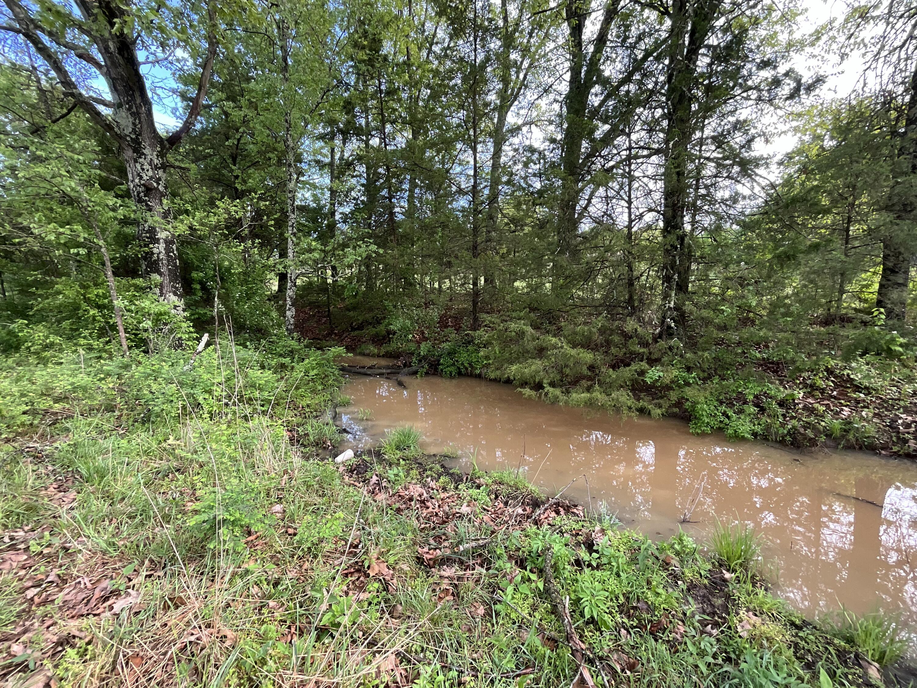 Photo 19 - Land for sale – 000  County Road 6750 Road  West Plains, MO