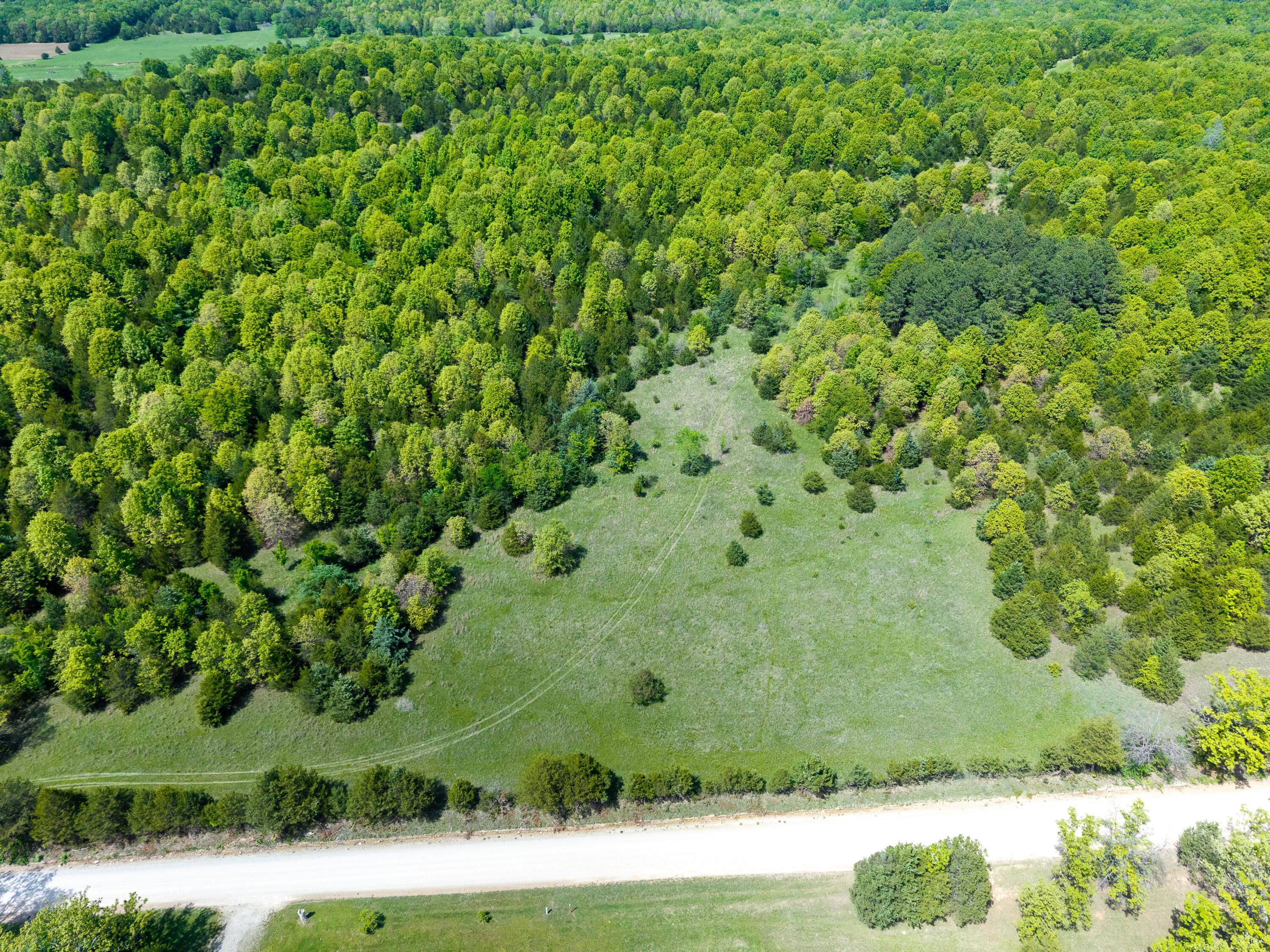 Photo 36 - Land for sale – 000  County Road 6750 Road  West Plains, MO