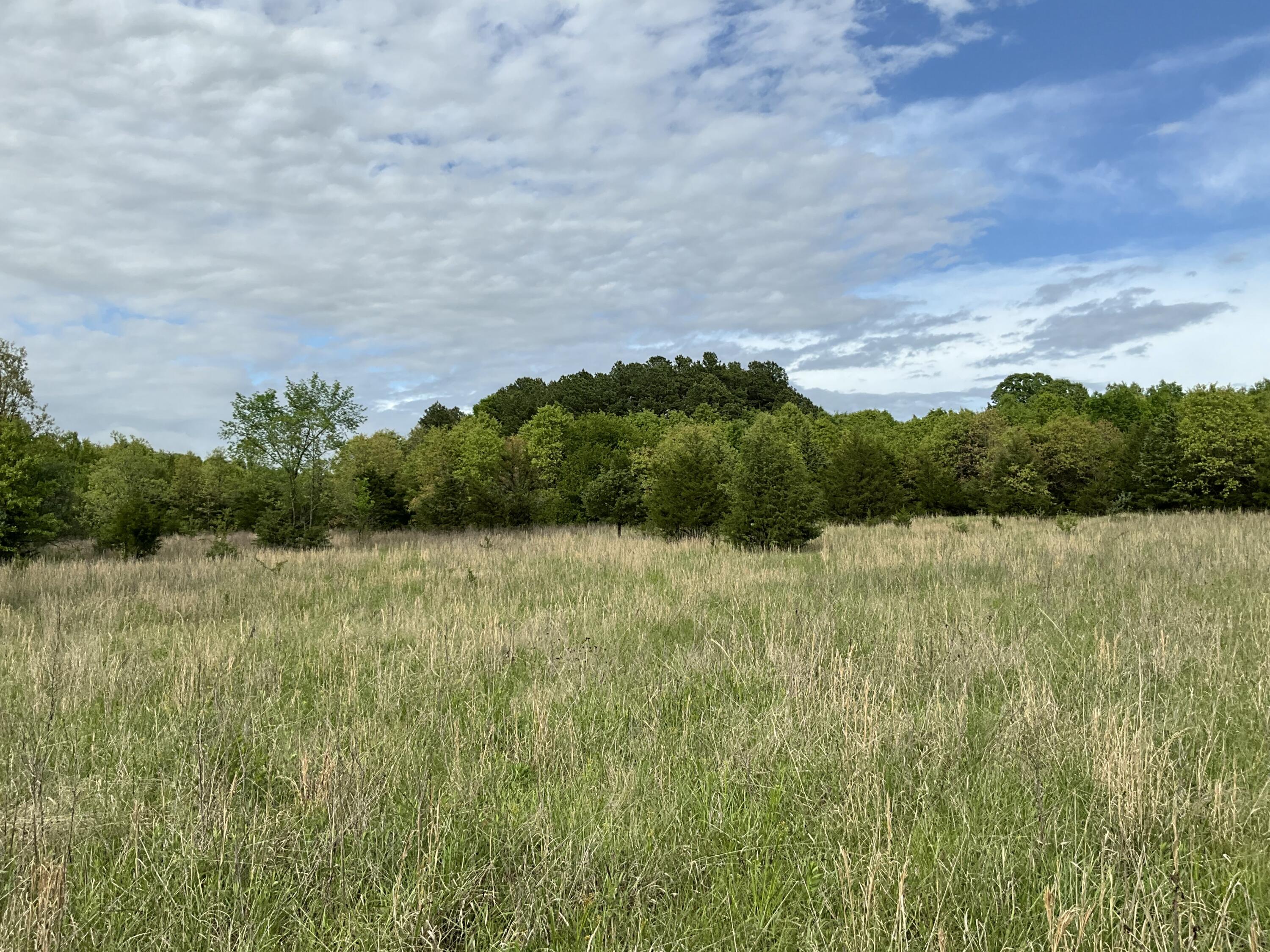 Photo 24 - Land for sale – 000  County Road 6750 Road  West Plains, MO