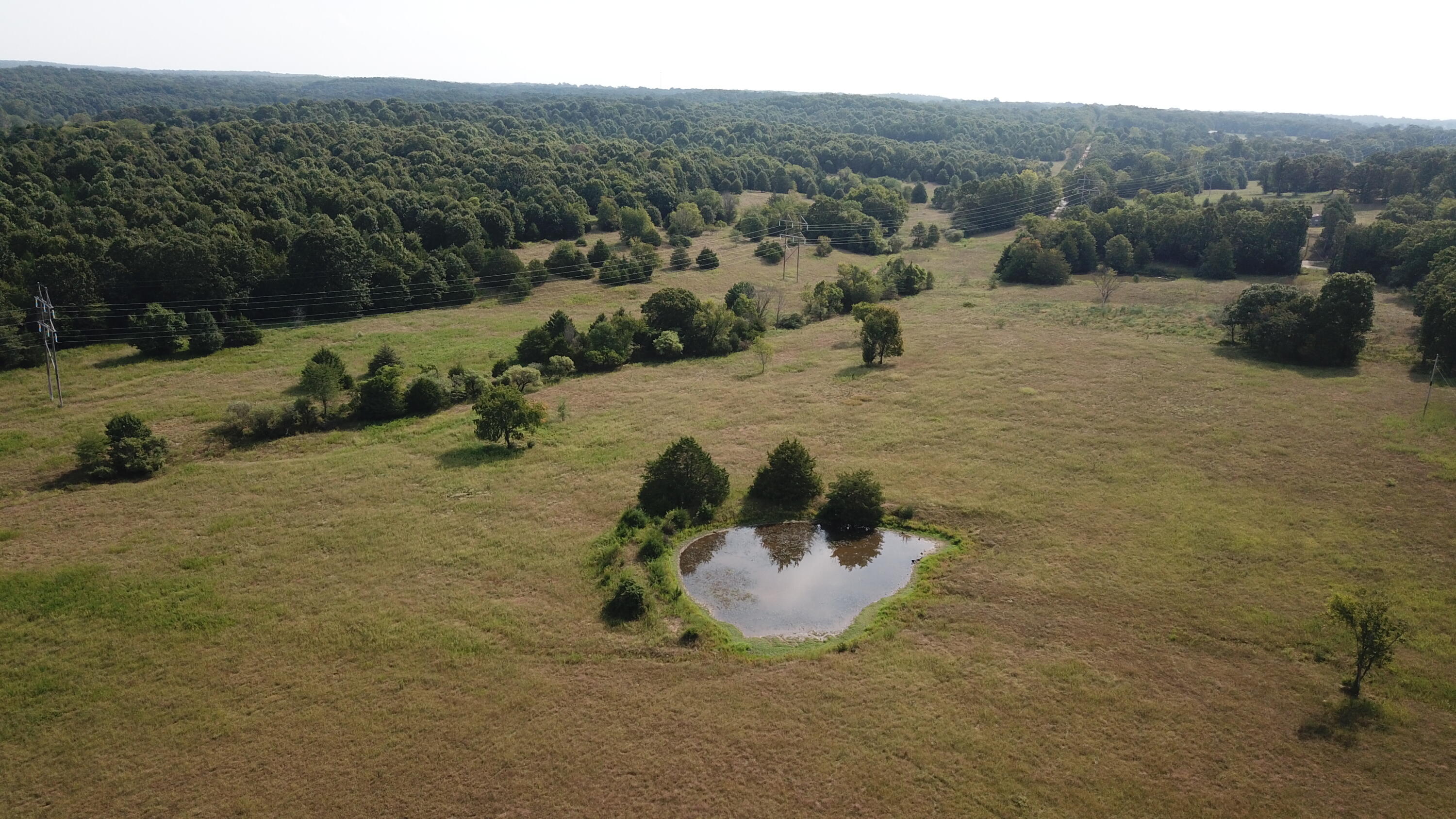 Photo 50 - Land for sale – 000  County Road 6750 Road  West Plains, MO