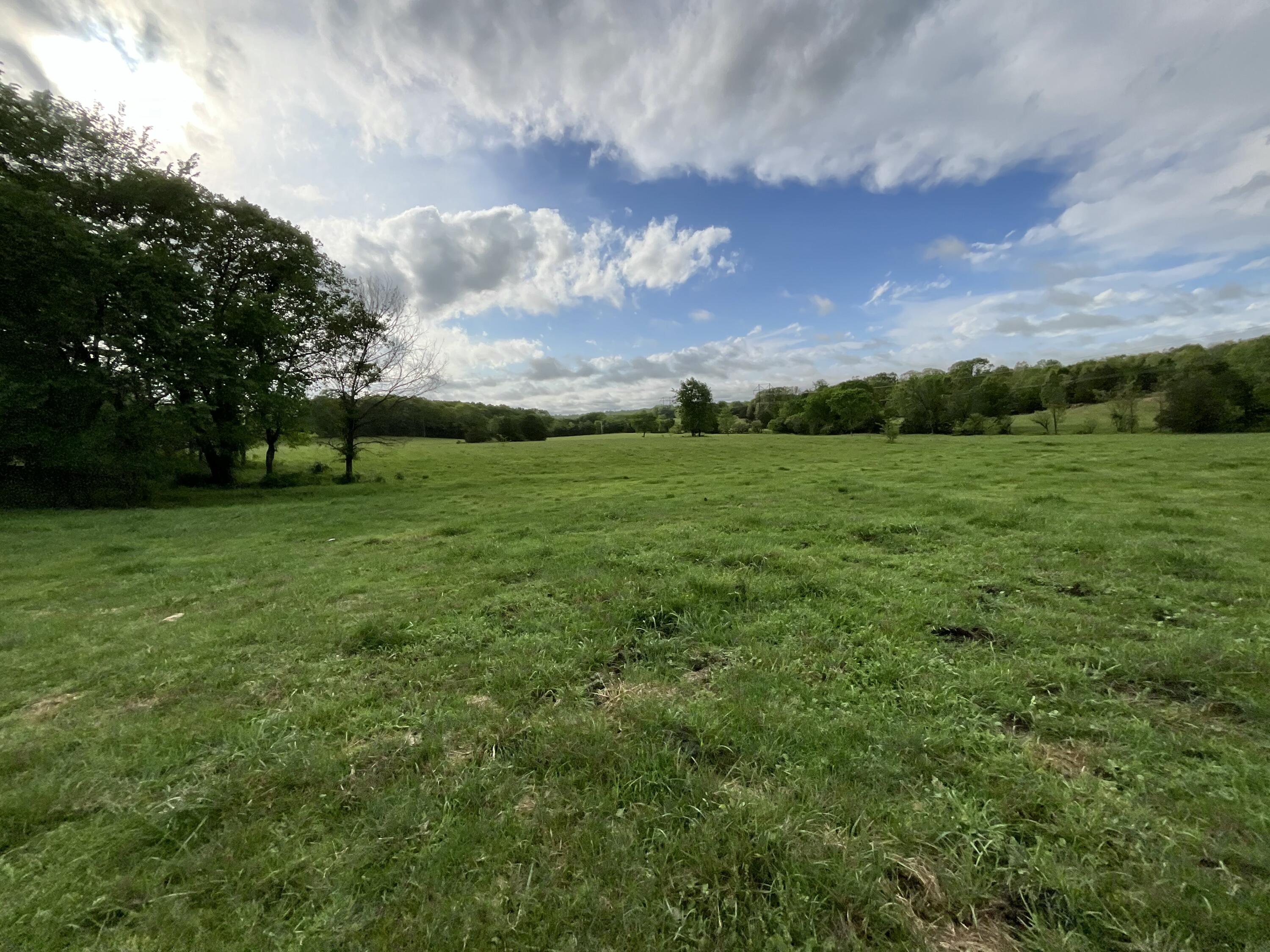 Photo 34 - Land for sale – 000  County Road 6750 Road  West Plains, MO