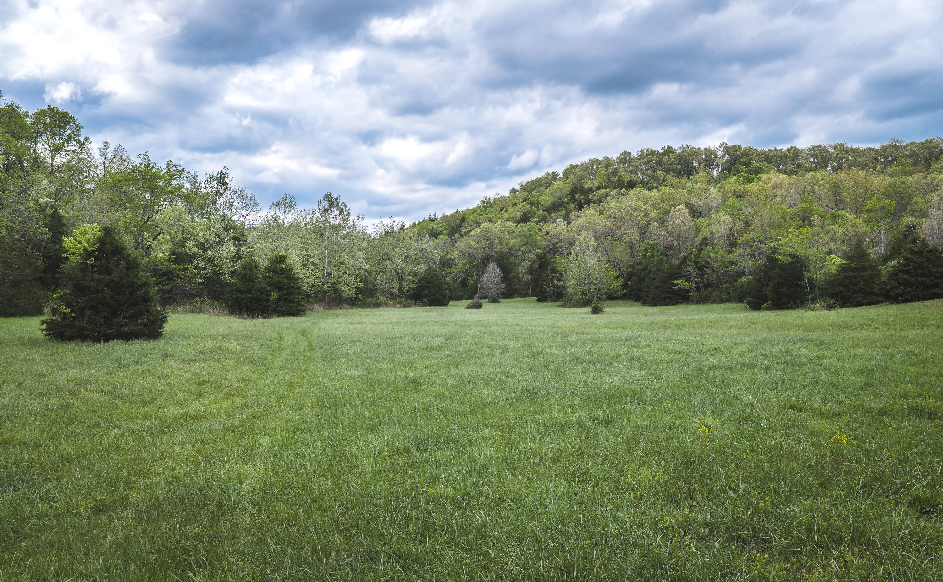 Photo 53 - Farm for sale – 15310  County Road 7250   Newburg, MO