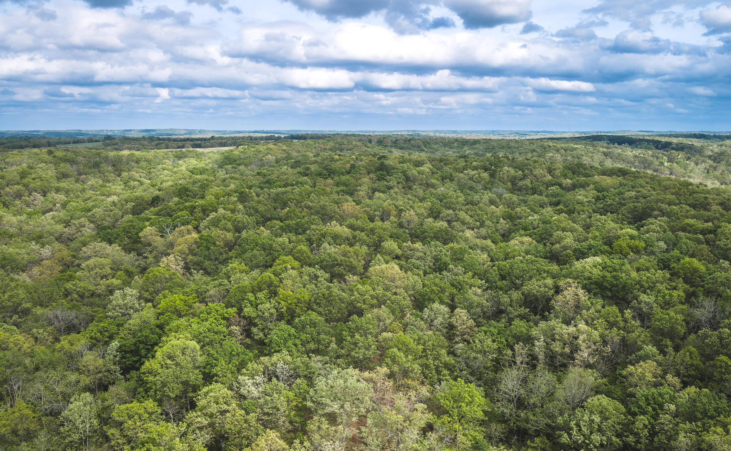 Photo 50 - Farm for sale – 15310  County Road 7250   Newburg, MO