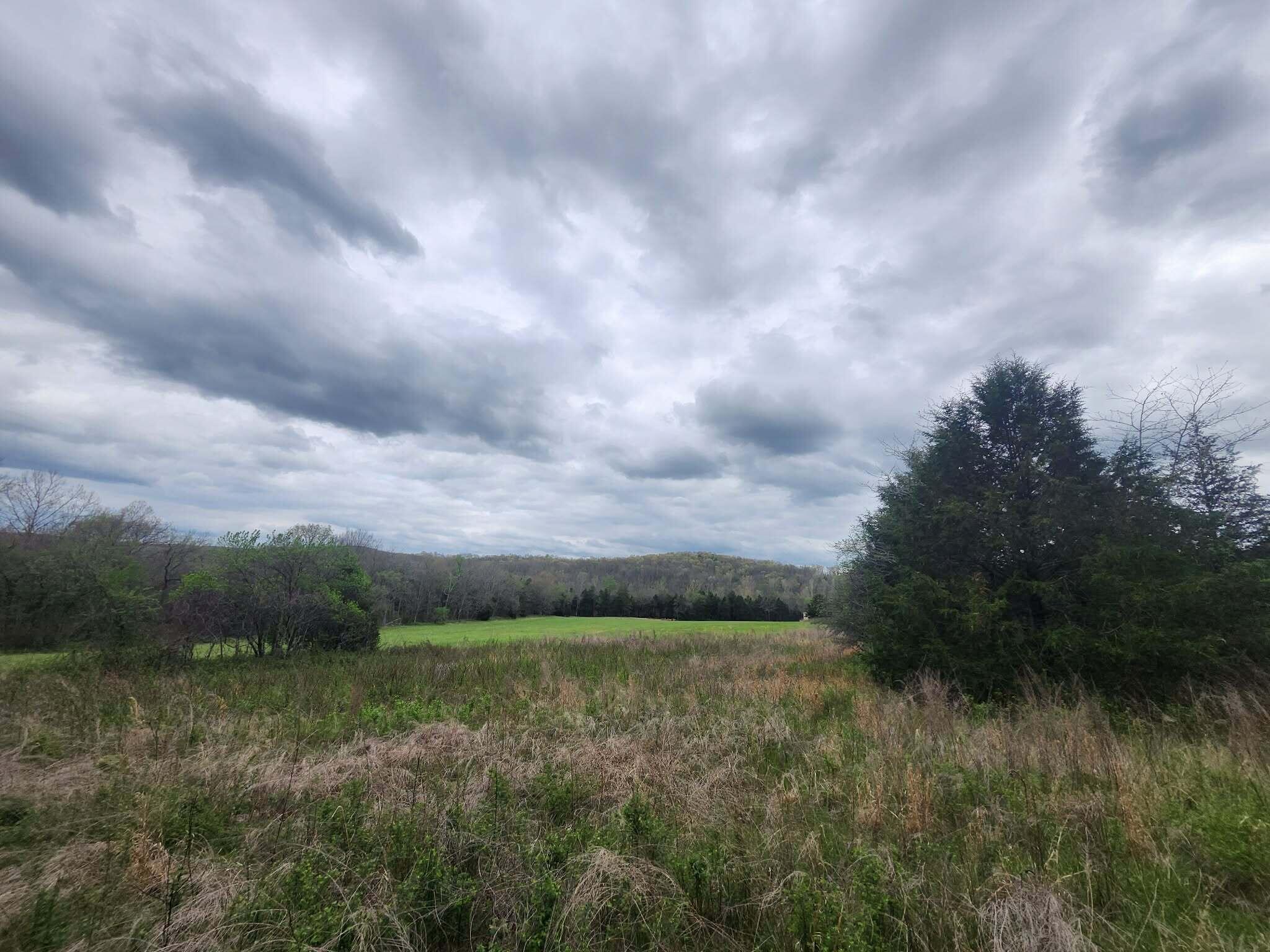 Photo 3 - Land for sale – 0  County Road 14-252   Drury, MO