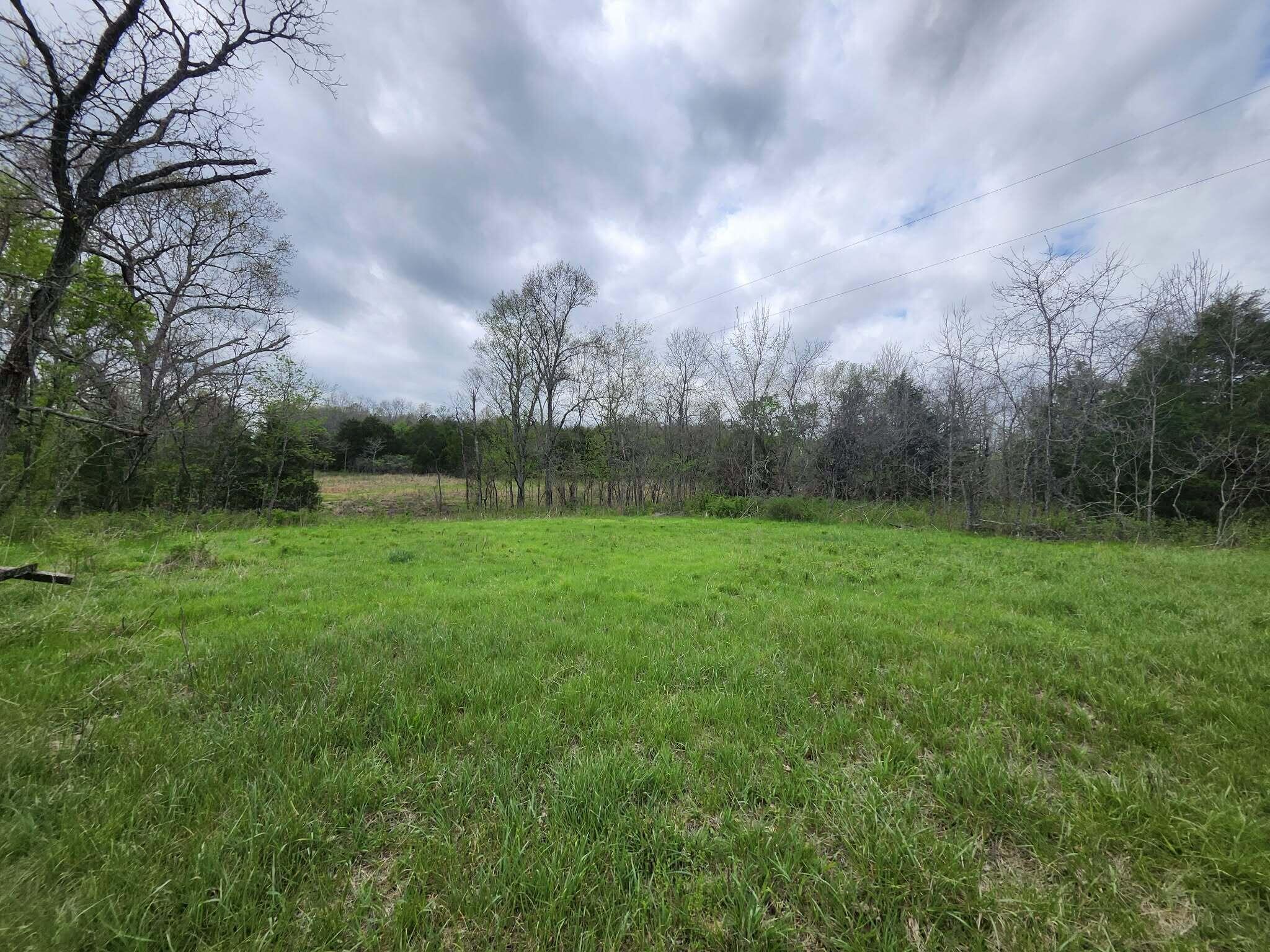 Photo 2 - Land for sale – 0  County Road 14-252   Drury, MO