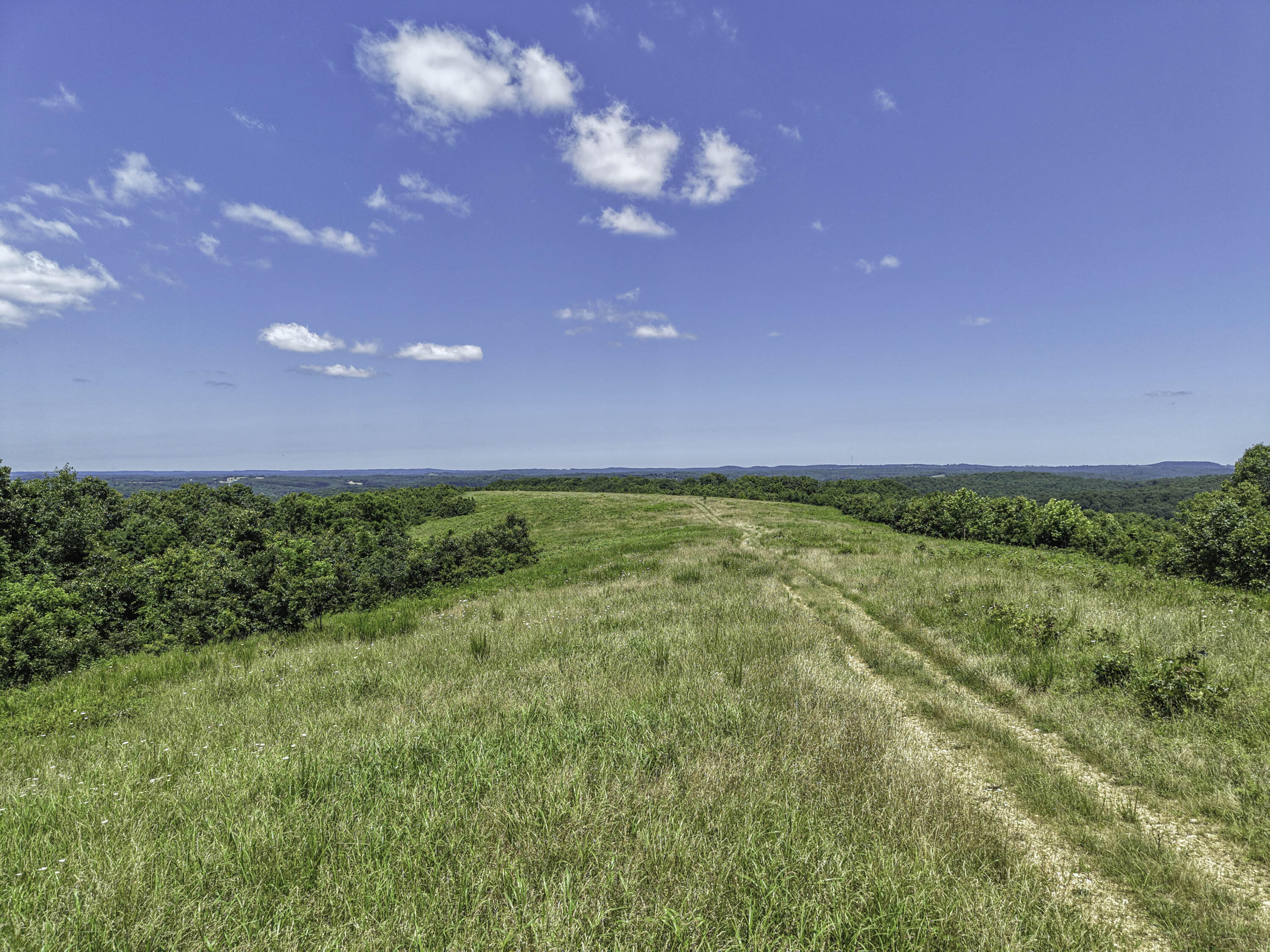Photo 11 - Farm for sale – 23605  County Road U-112   Norwood, MO