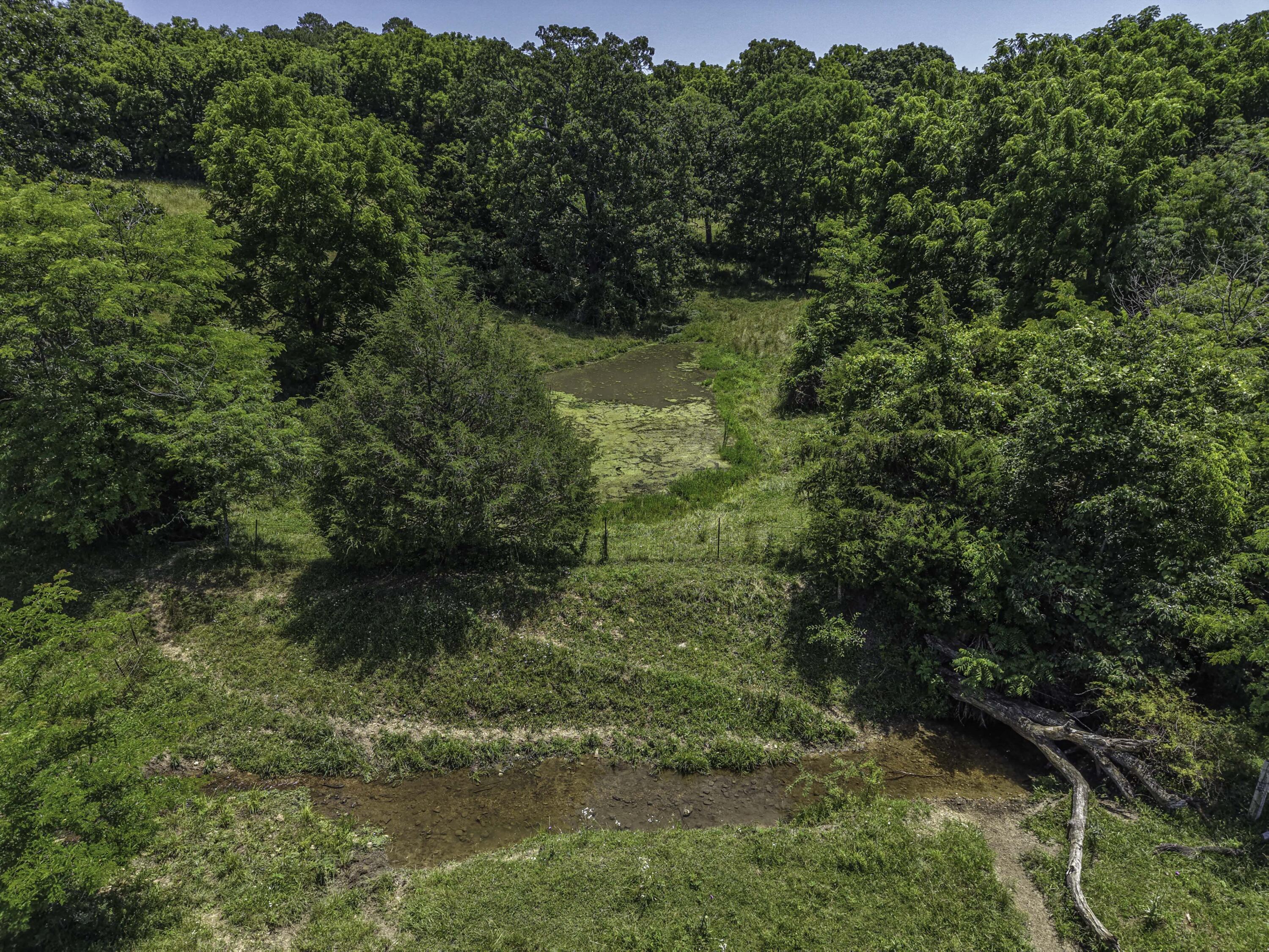 Photo 48 - Farm for sale – 23605  County Road U-112   Norwood, MO