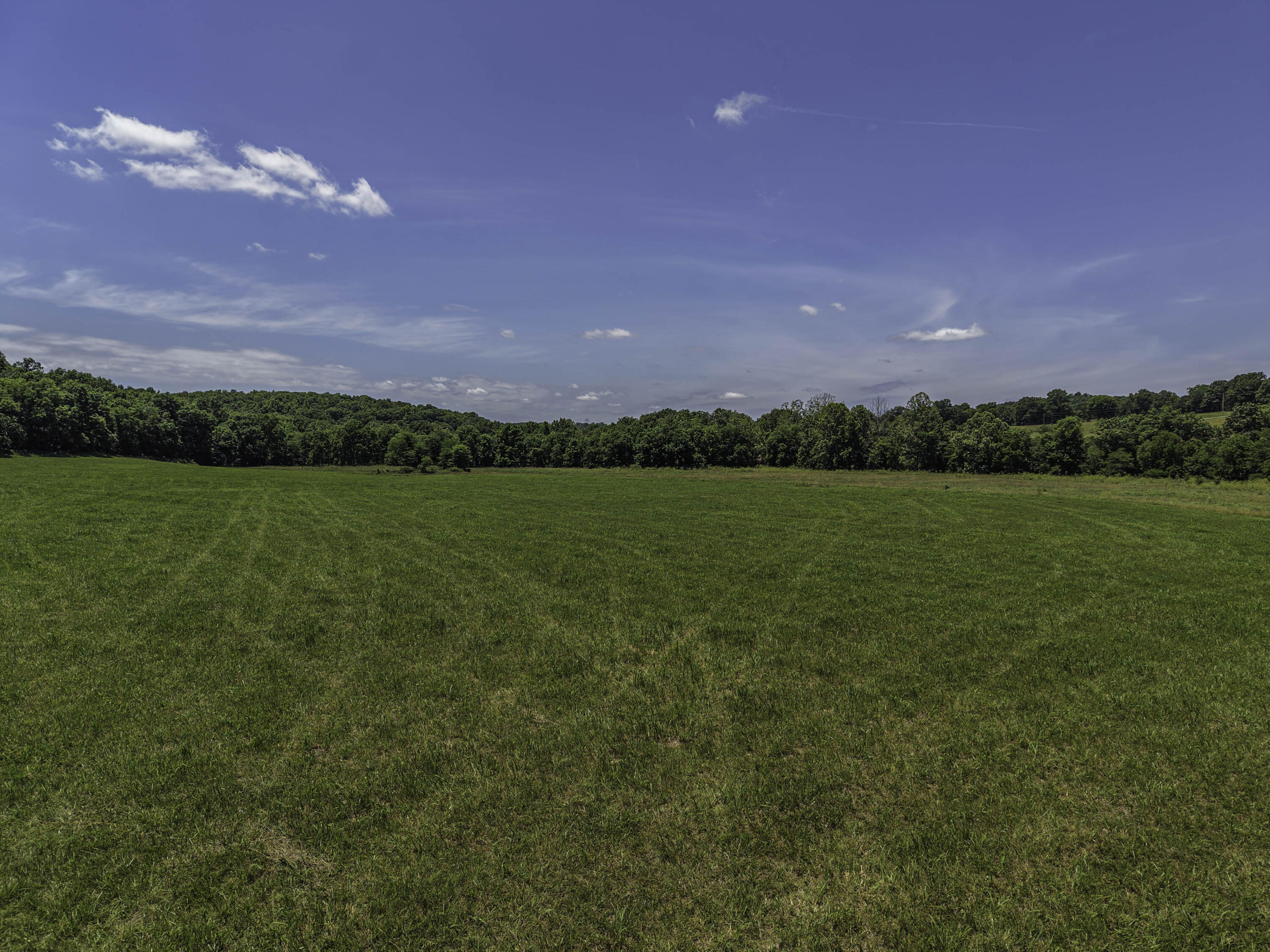 Photo 56 - Farm for sale – 23605  County Road U-112   Norwood, MO