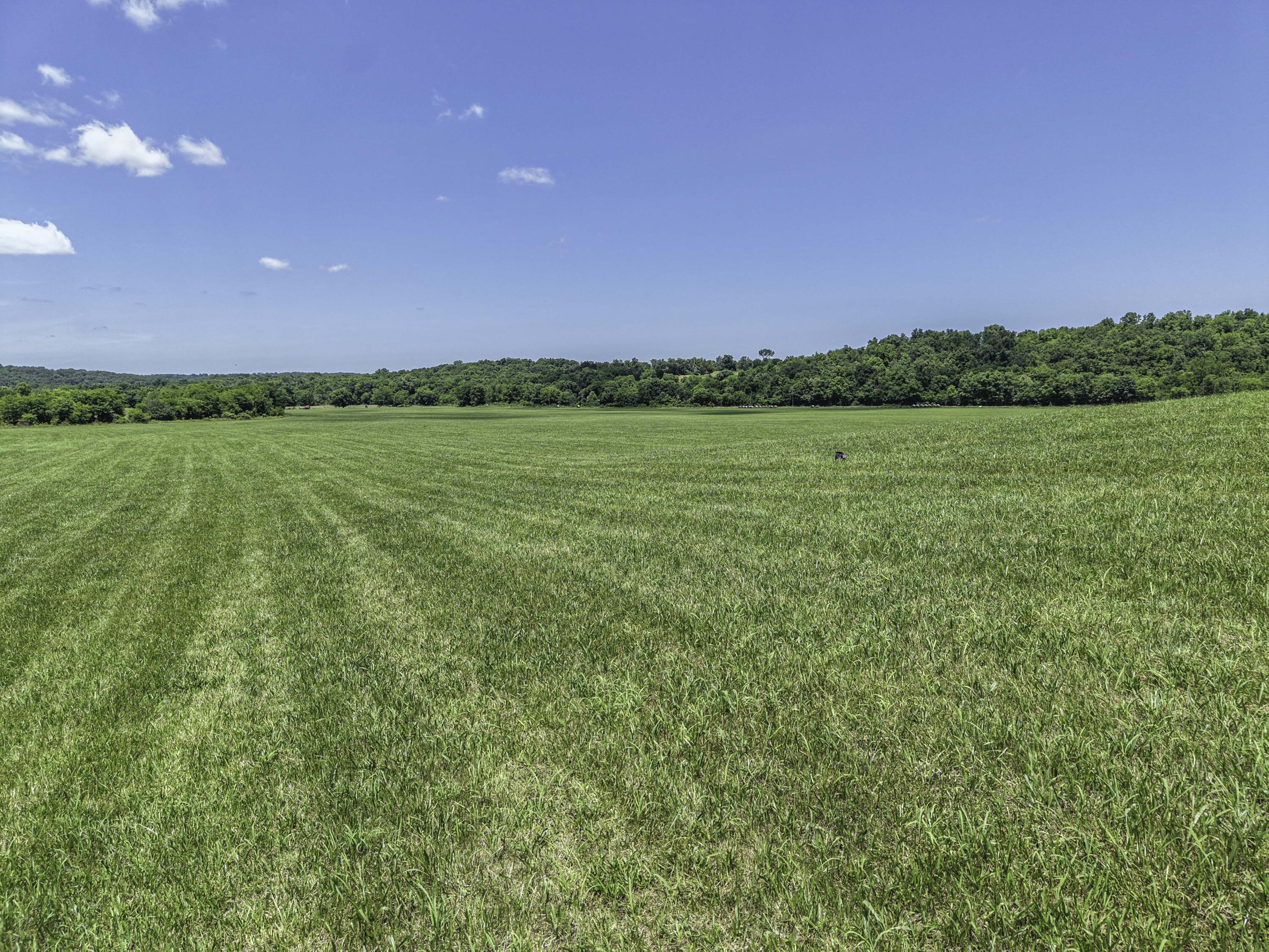 Photo 5 - Farm for sale – 23605  County Road U-112   Norwood, MO