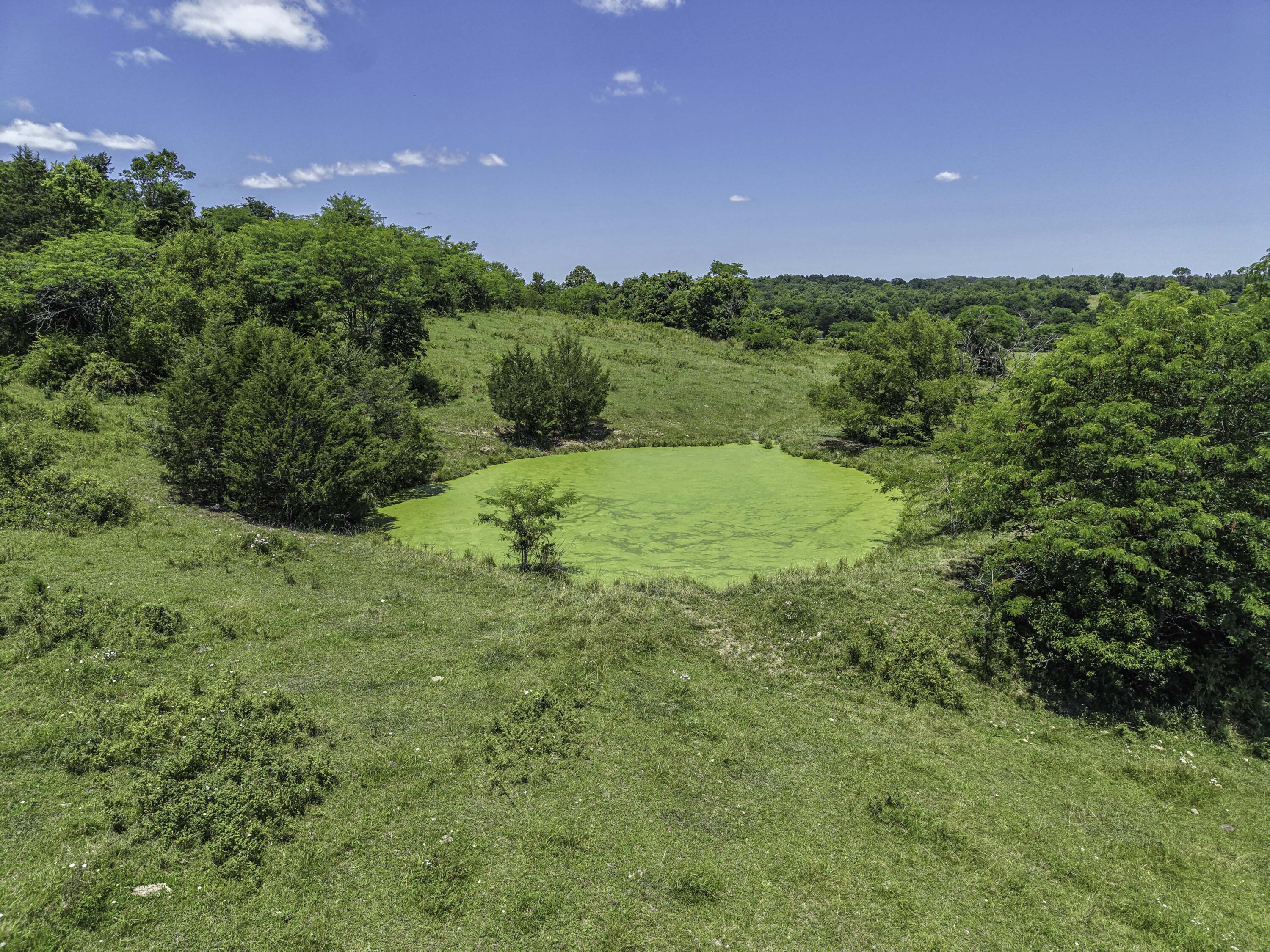 Photo 43 - Farm for sale – 23605  County Road U-112   Norwood, MO