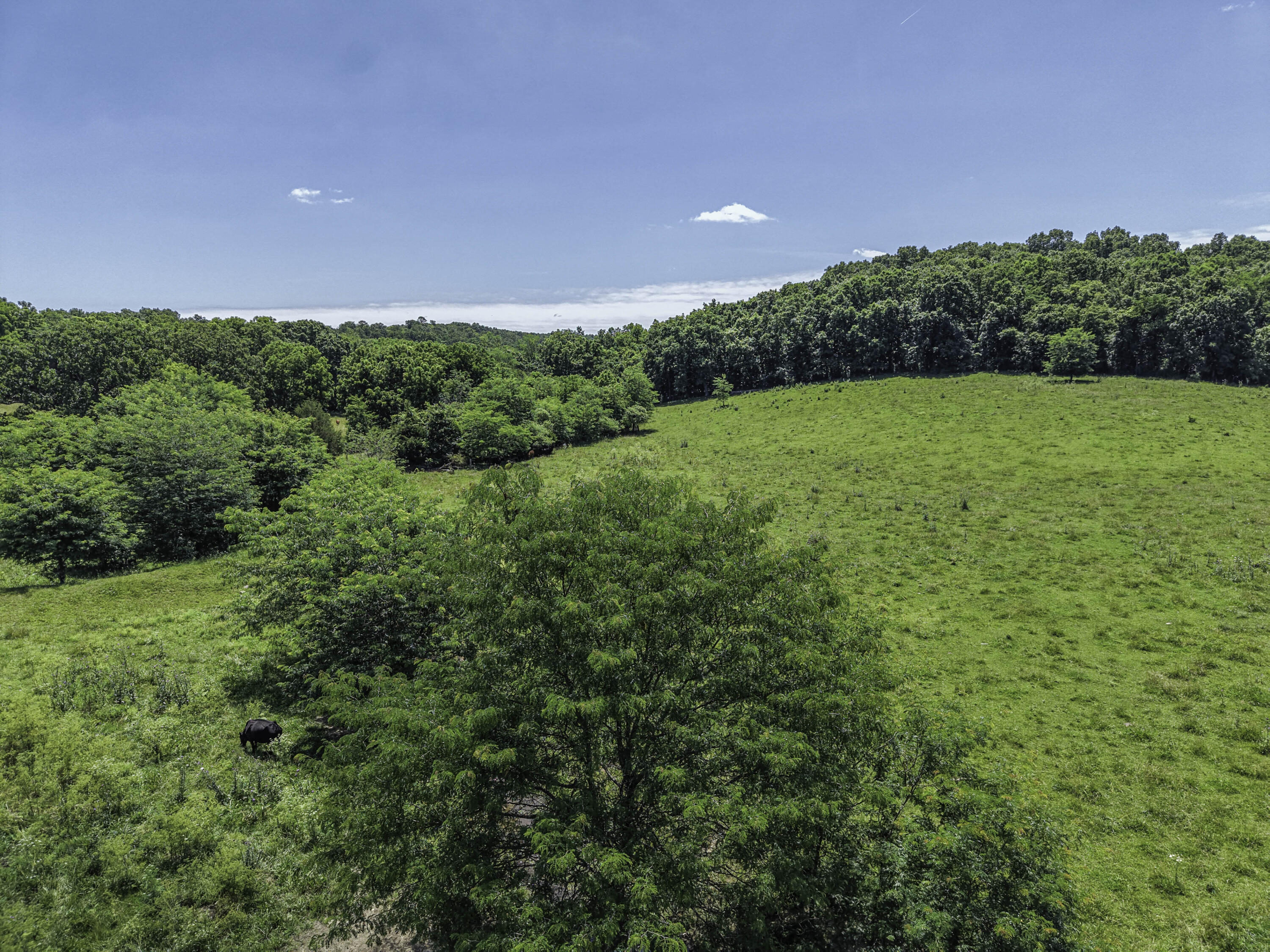 Photo 47 - Farm for sale – 23605  County Road U-112   Norwood, MO
