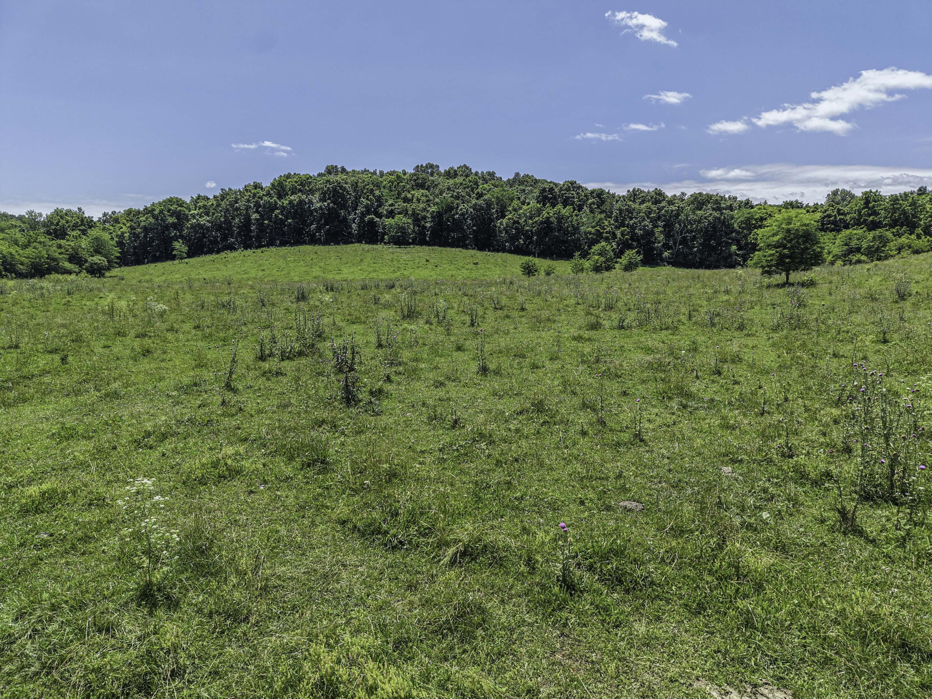 Photo 45 - Farm for sale – 23605  County Road U-112   Norwood, MO