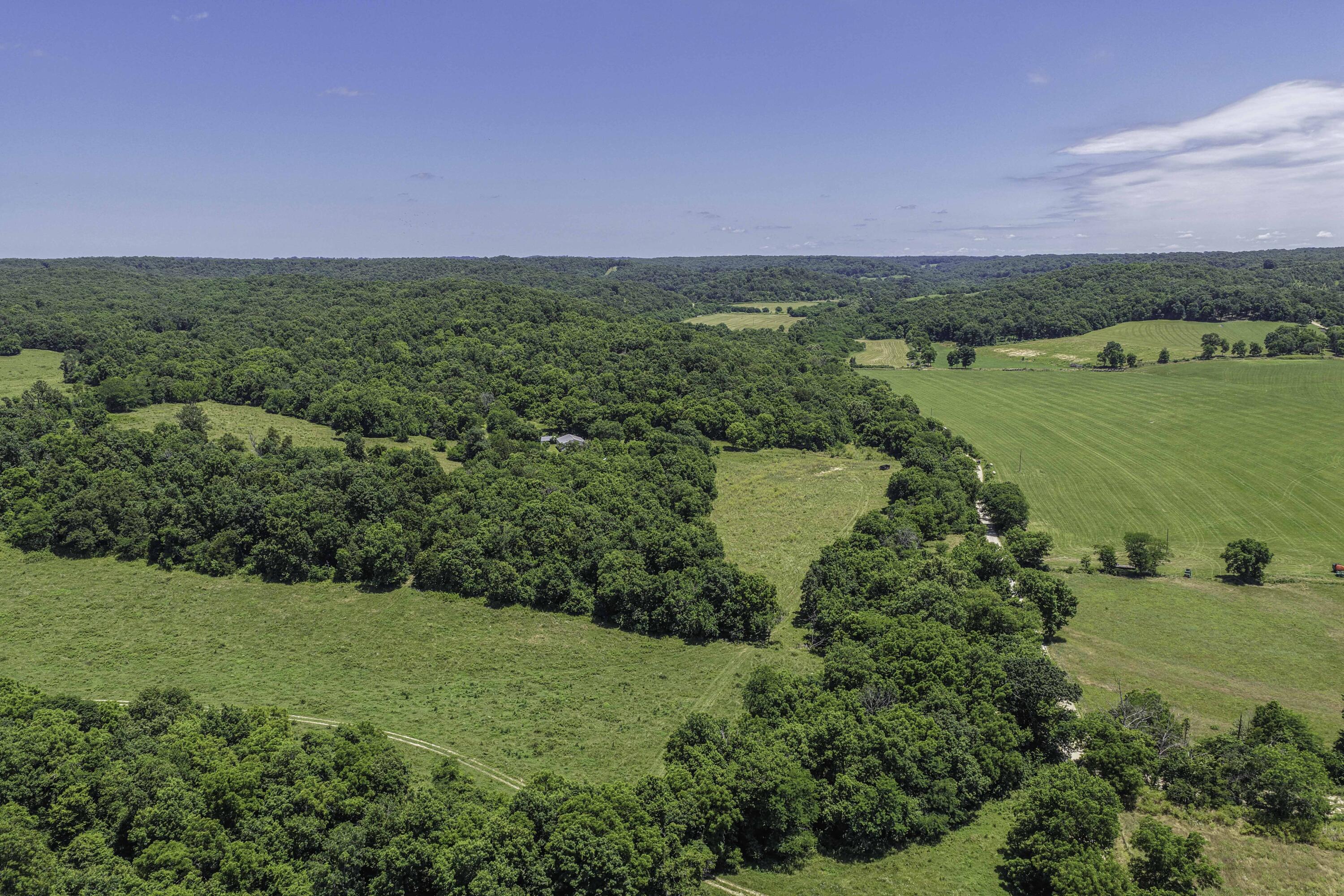 Photo 10 - Farm for sale – 23605  County Road U-112   Norwood, MO