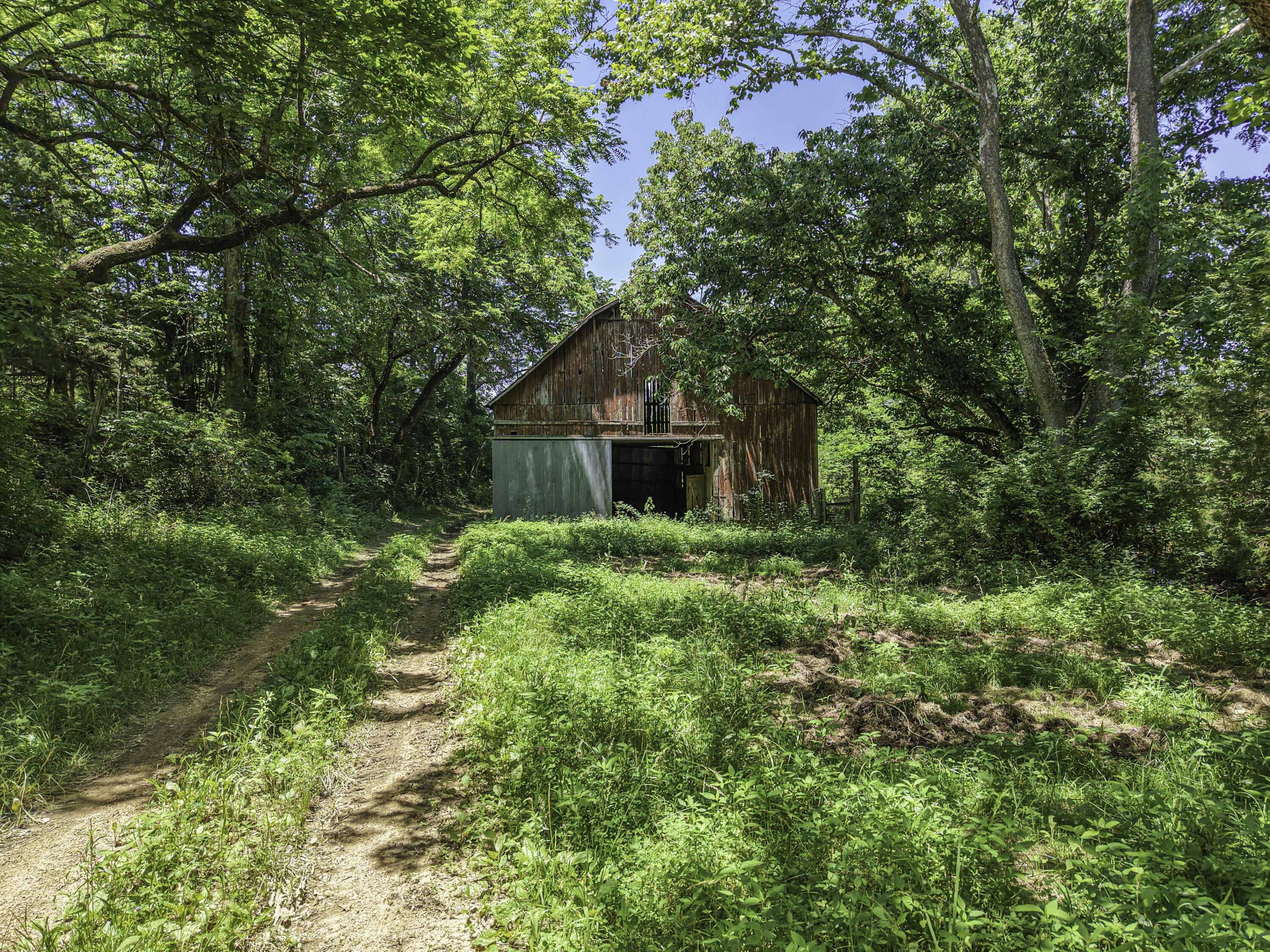Photo 53 - Farm for sale – 23605  County Road U-112   Norwood, MO