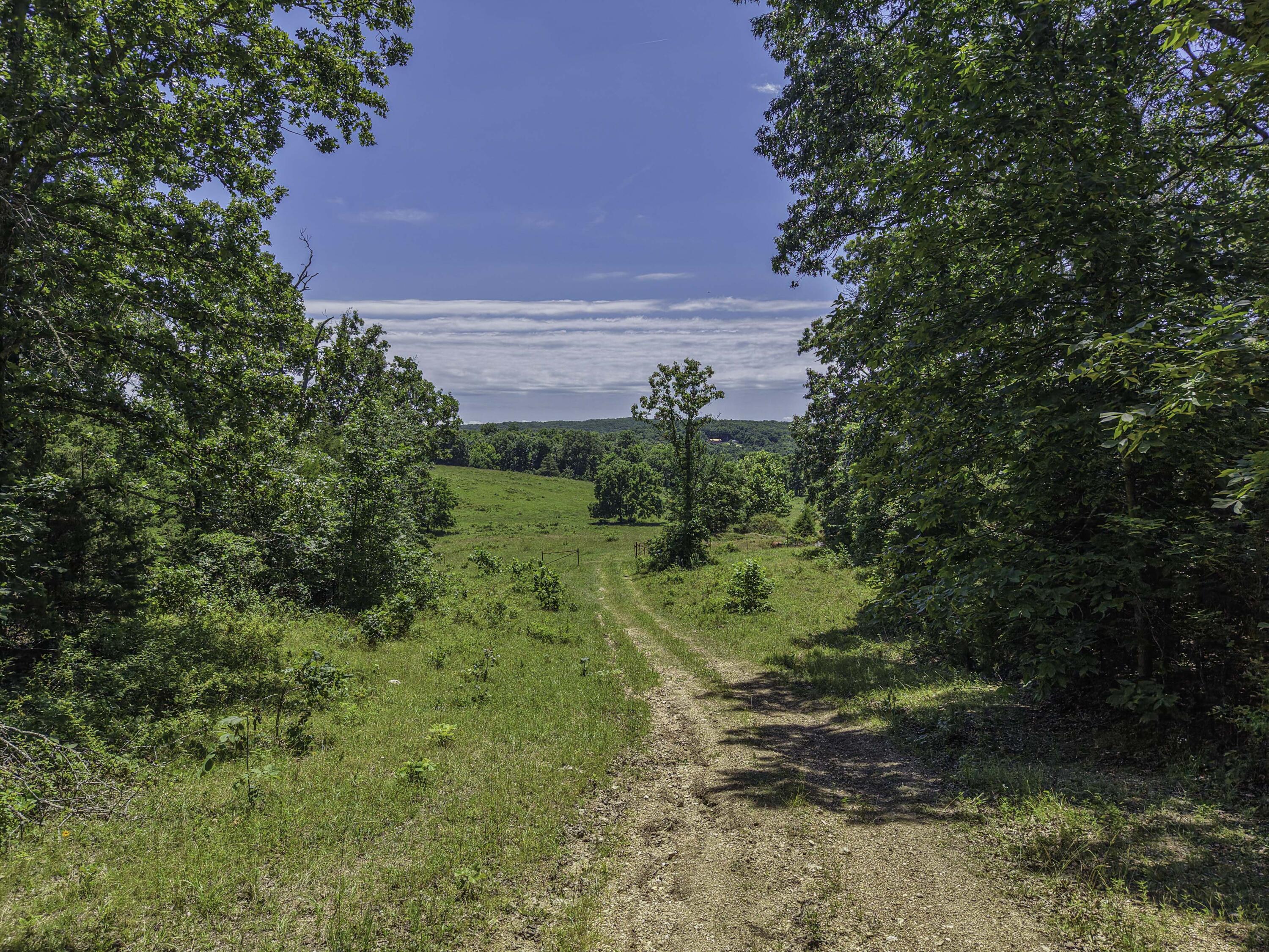 Photo 57 - Farm for sale – 23605  County Road U-112   Norwood, MO