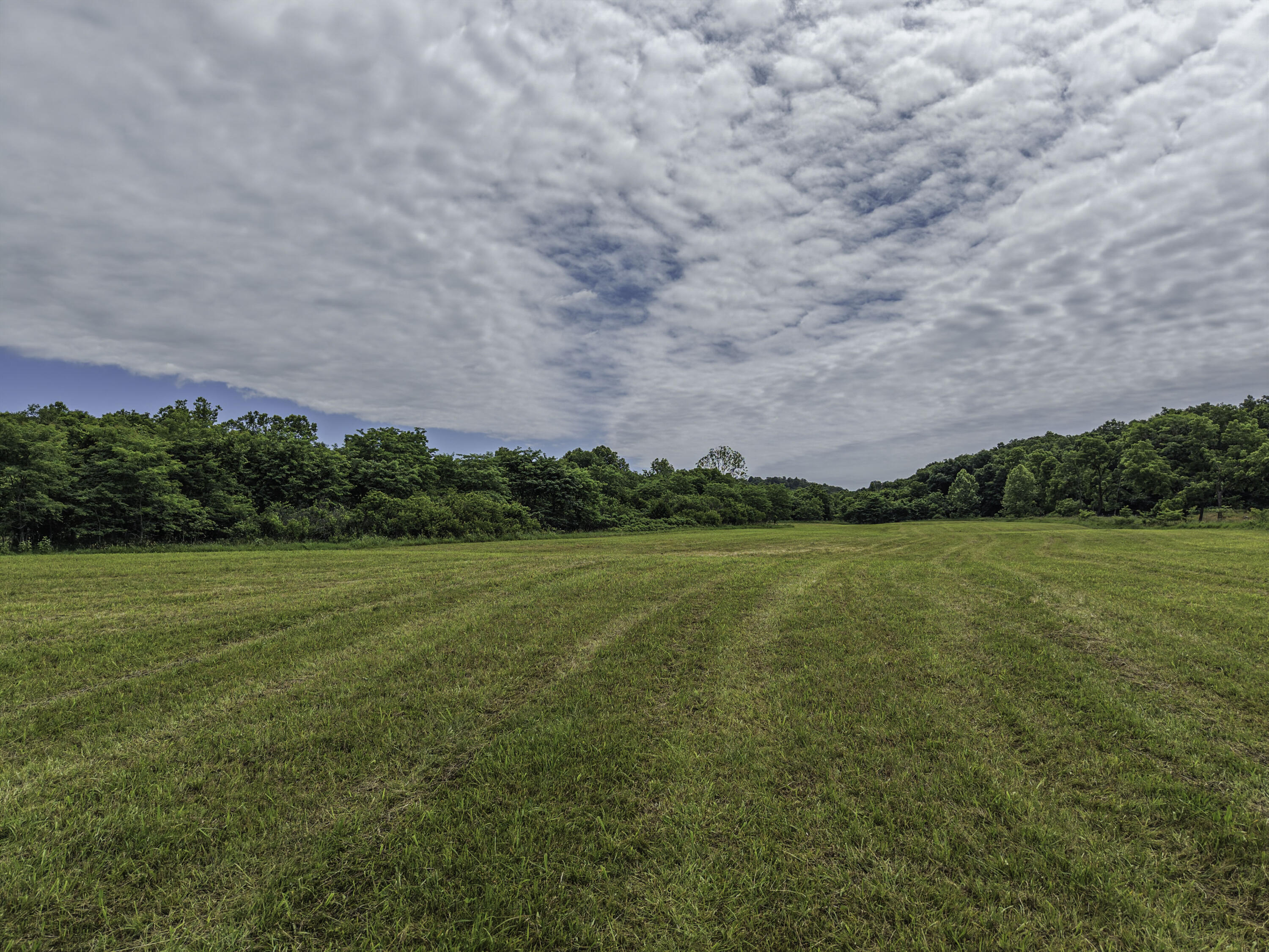 Photo 14 - Farm for sale – 23605  County Road U-112   Norwood, MO