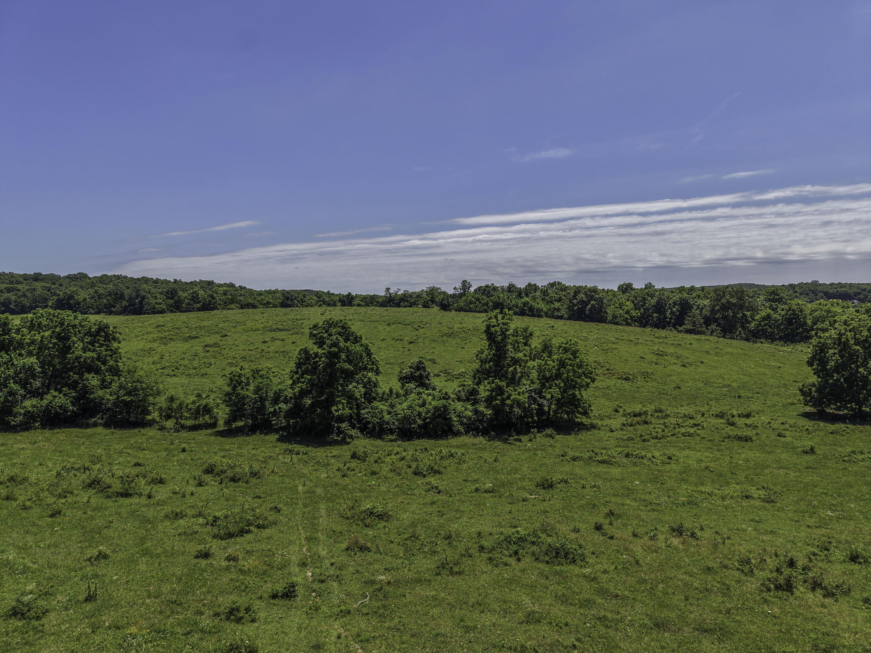 Photo 58 - Farm for sale – 23605  County Road U-112   Norwood, MO