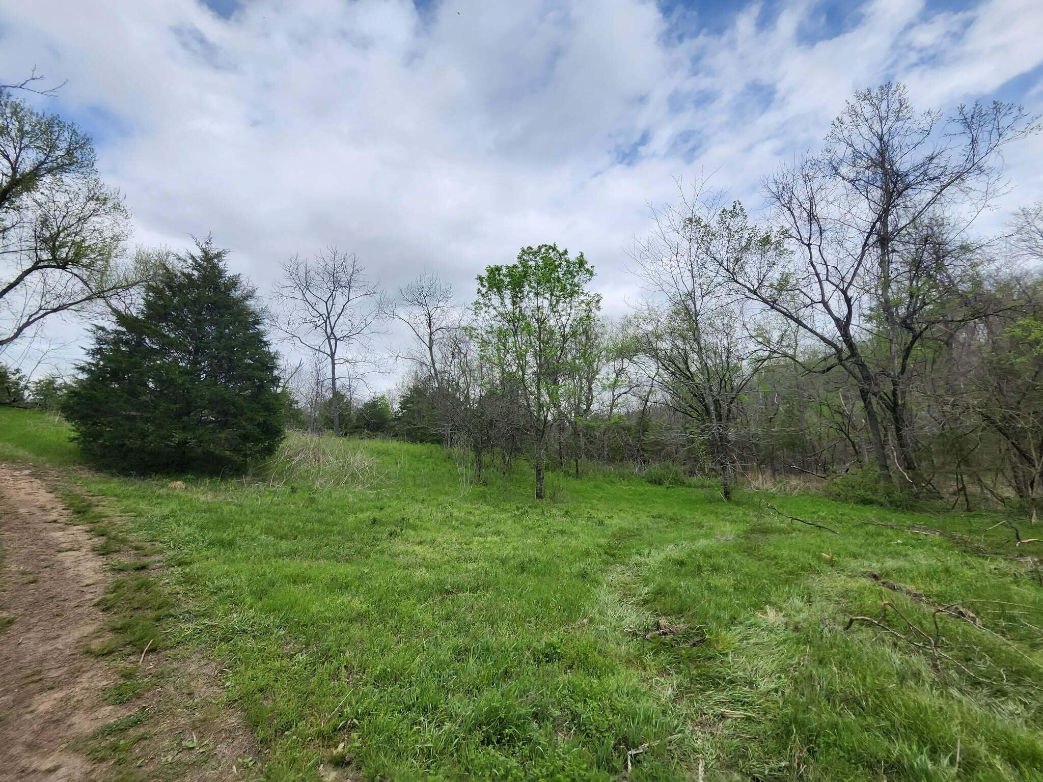 Photo 2 - Land for sale – 0  County Road 250-80   Drury, MO