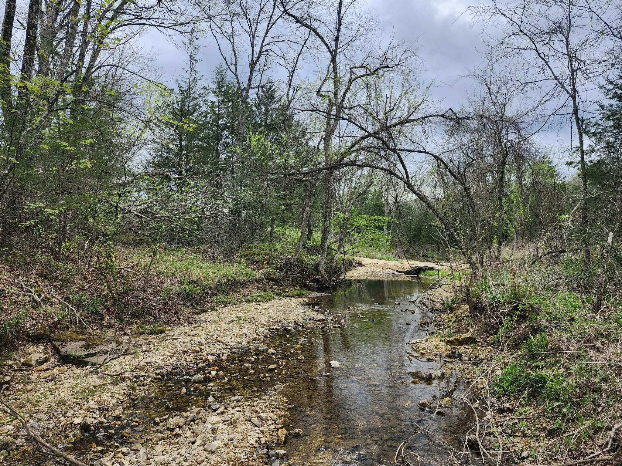 Photo 5 - Land for sale – 0  County Road 250-80   Drury, MO