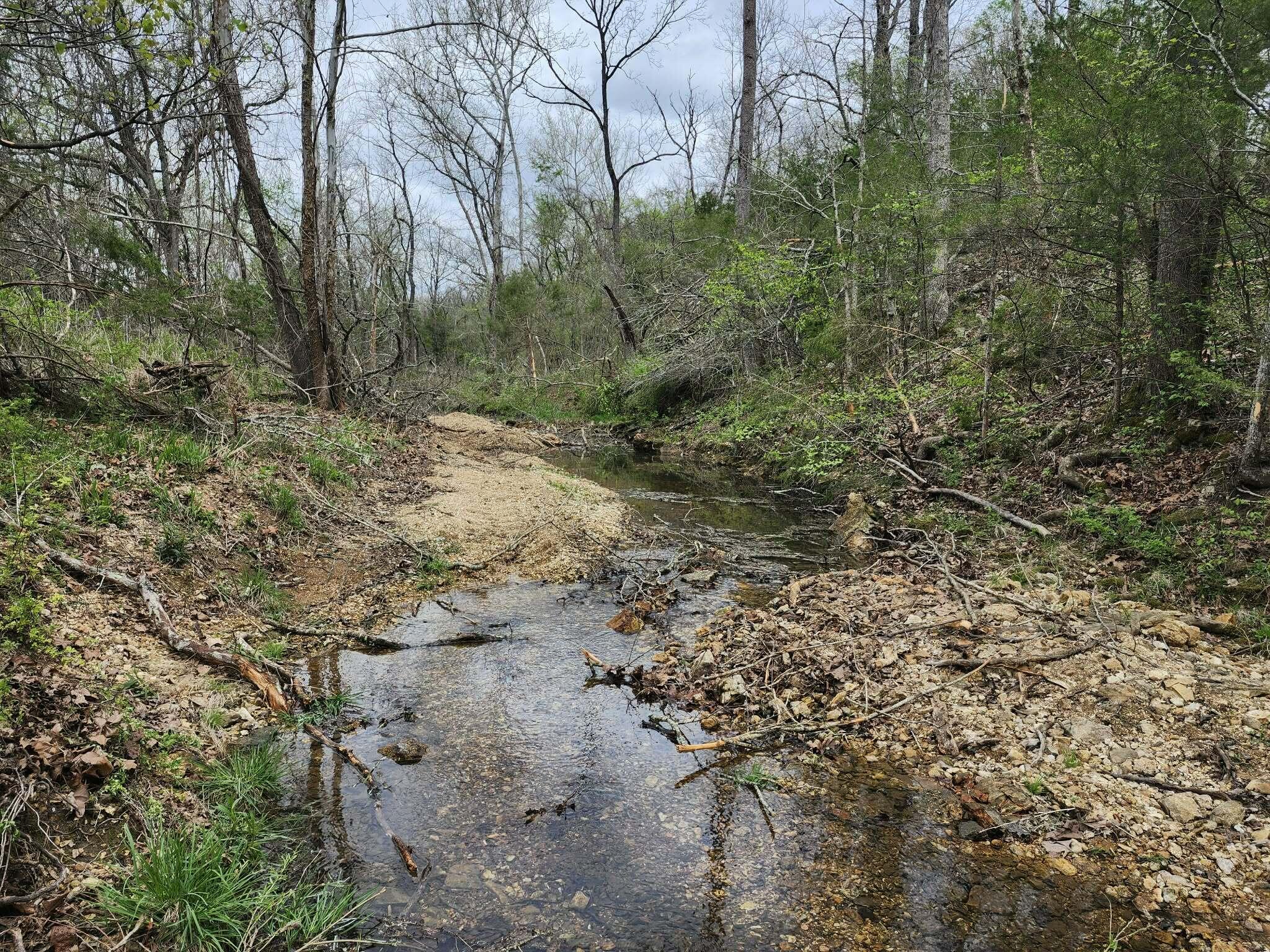 Photo 4 - Land for sale – 0  County Road 250-80   Drury, MO