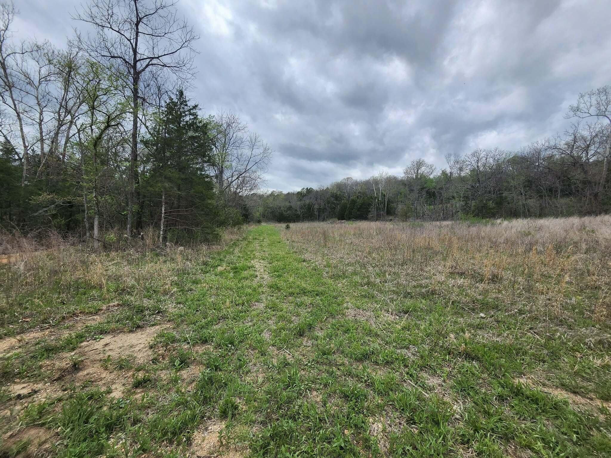 Photo 6 - Land for sale – 0  County Road 250-80   Drury, MO