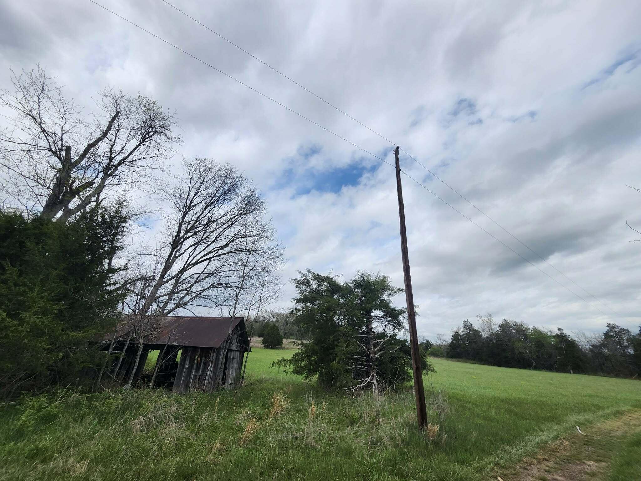 Photo 3 - Land for sale – 0  County Road 250-80   Drury, MO
