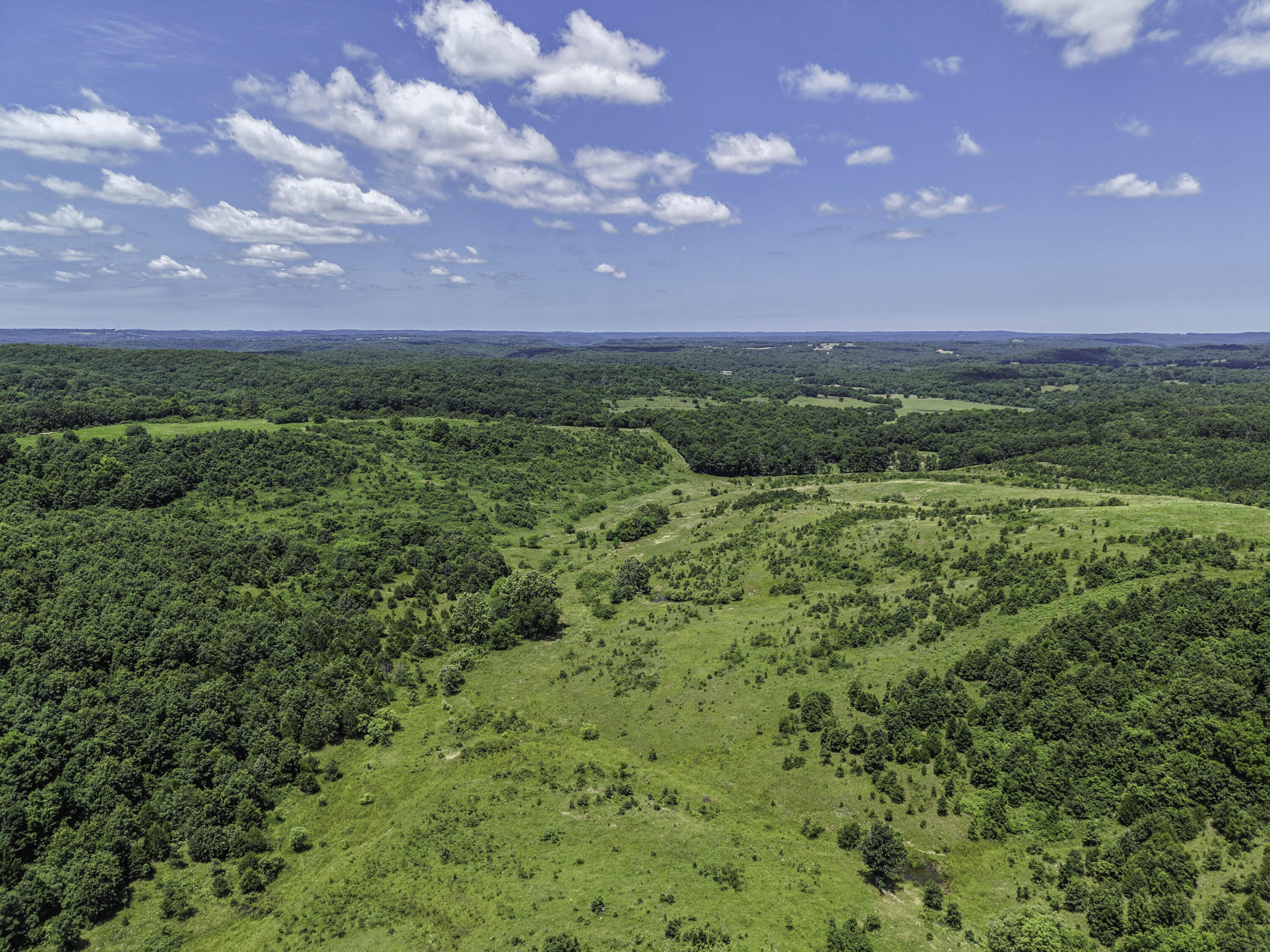 Photo 9 - Land for sale – 000  County Road 123   Norwood, MO