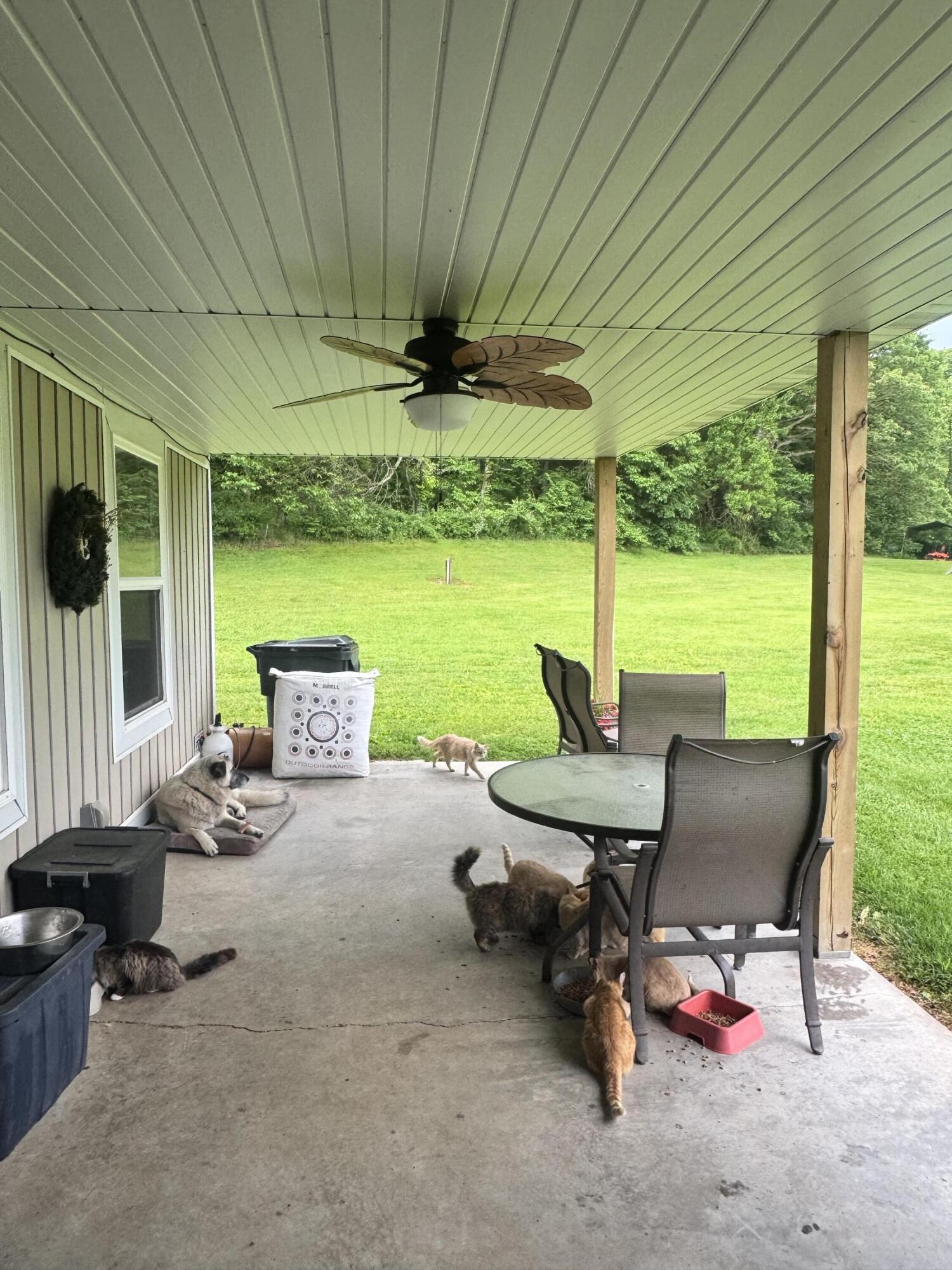Photo 14 - Farm for sale – 9137  Farm Road 1120   Purdy, MO