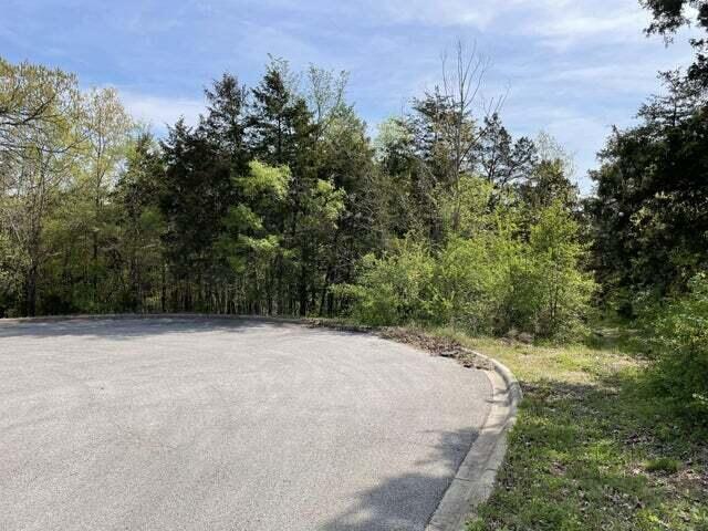 Photo 2 - Land for sale – 0  Daless Court  Hollister, MO