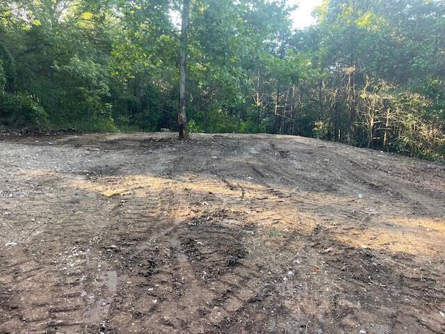 Land for sale – 0  Daless Court  Hollister, MO