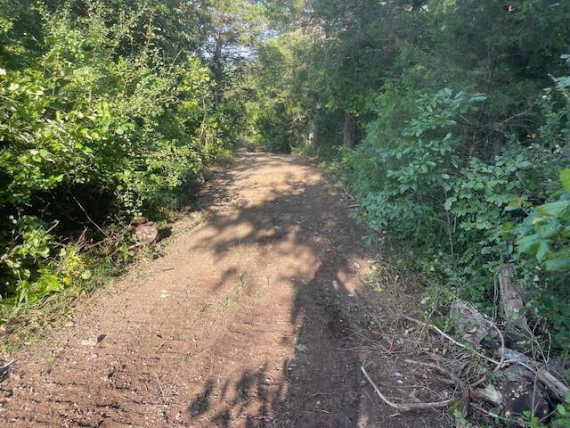 Photo 3 - Land for sale – 0  Daless Court  Hollister, MO