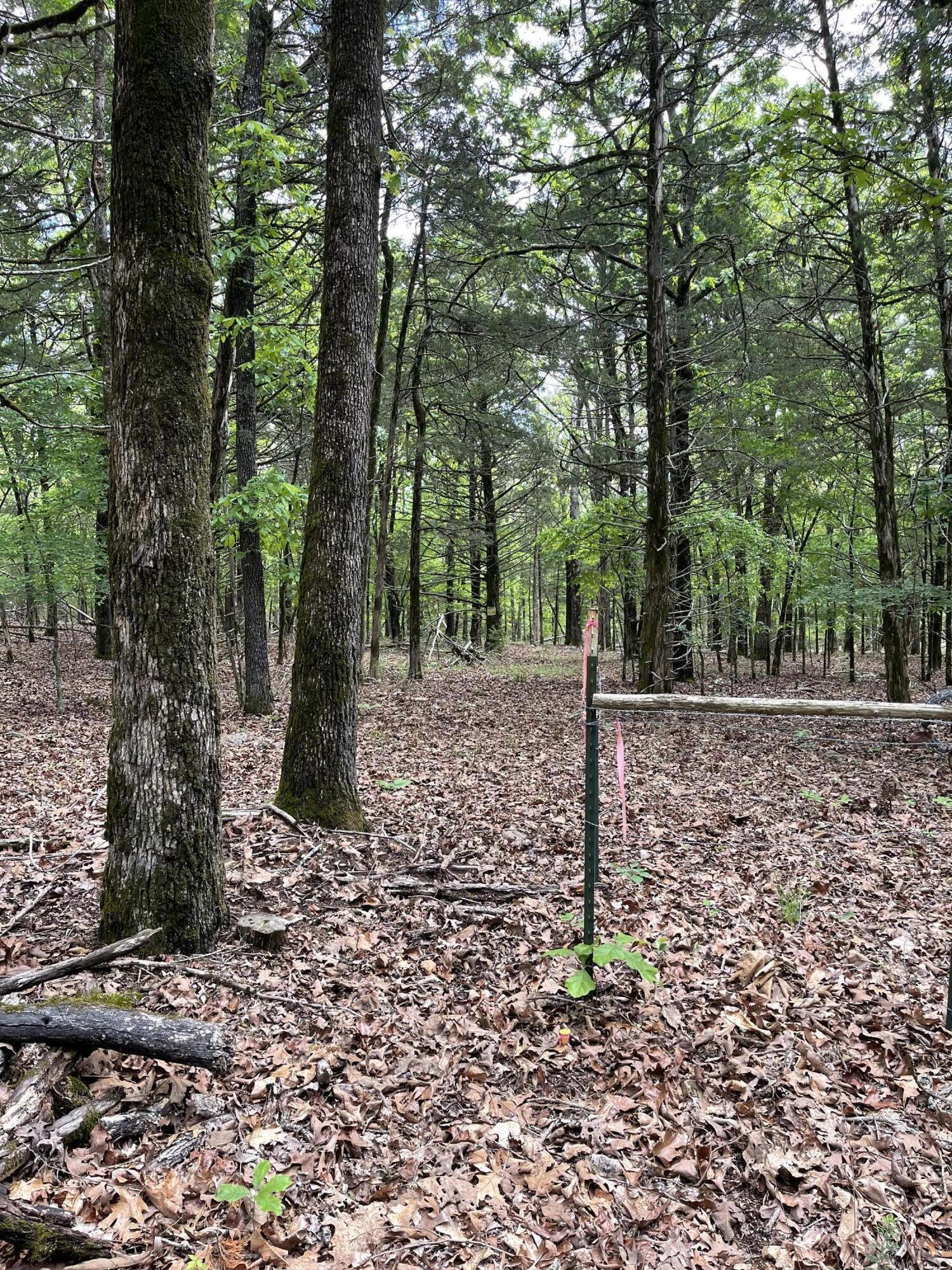Photo 3 - Land for sale – Lot 40&41  Timber Shoals Road   Cedar Creek, MO