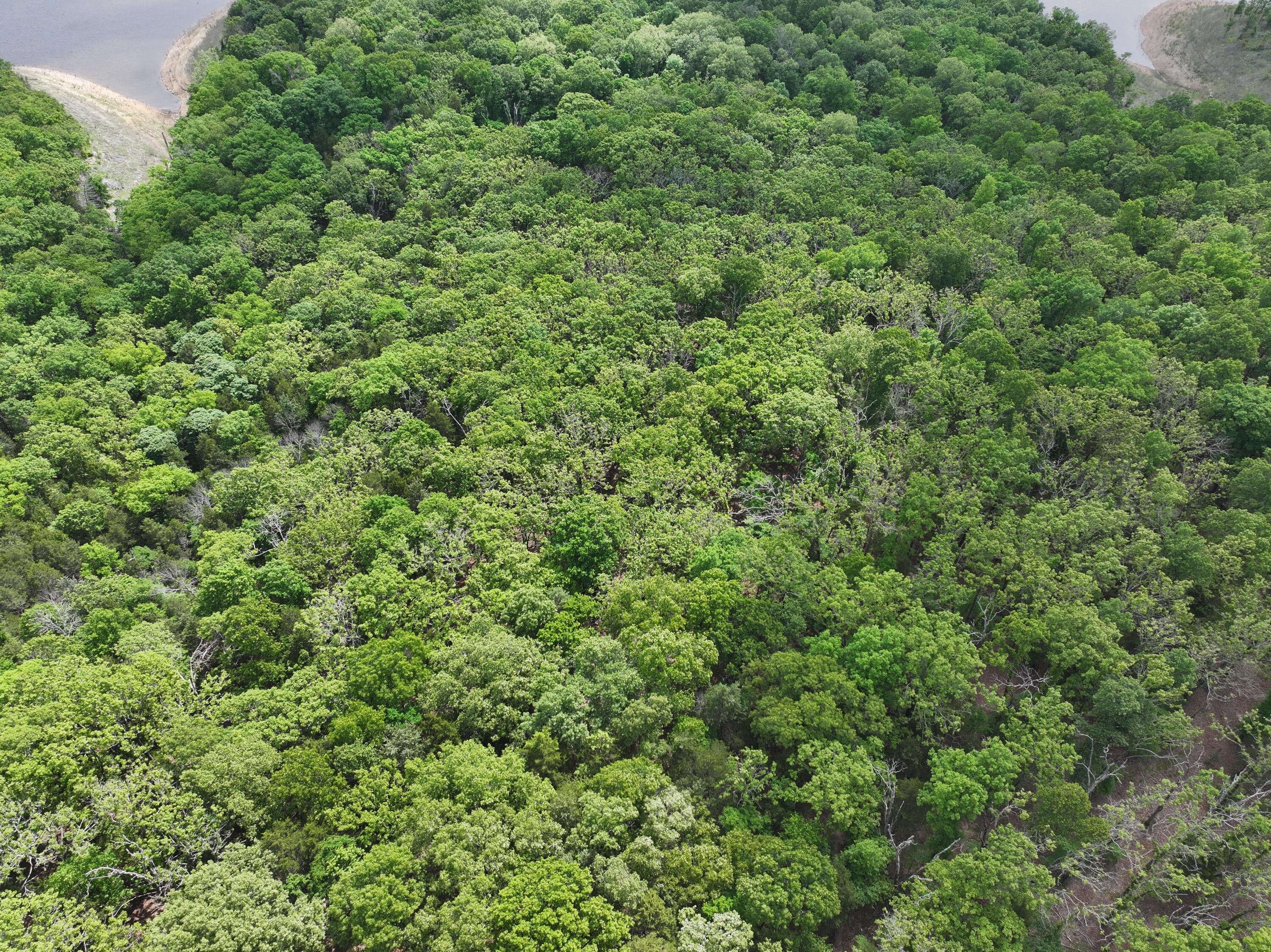 Photo 11 - Land for sale – Lot 40&41  Timber Shoals Road   Cedar Creek, MO