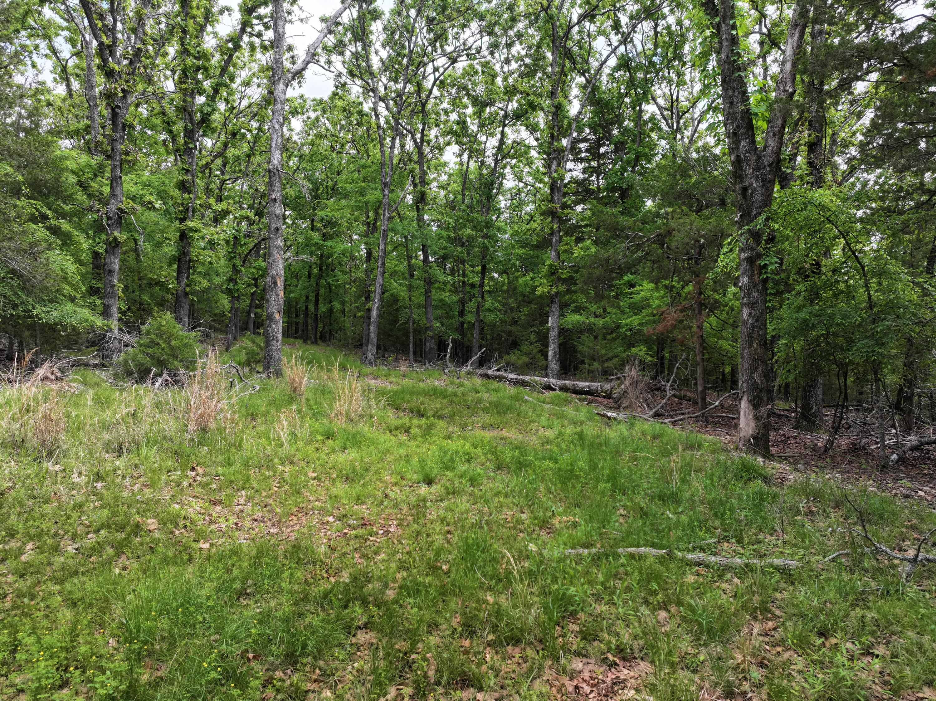 Photo 21 - Land for sale – Lot 40&41  Timber Shoals Road   Cedar Creek, MO