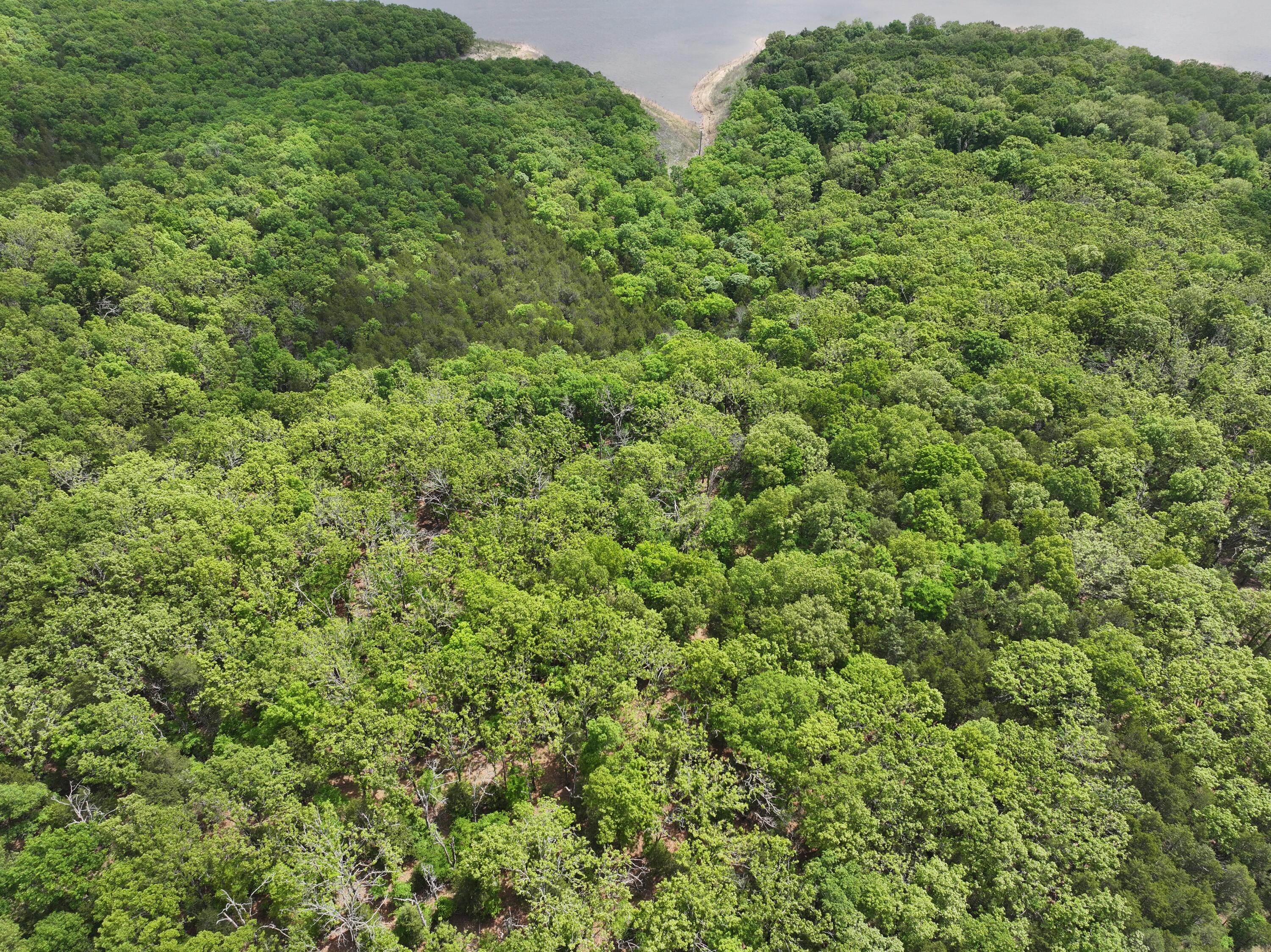 Photo 9 - Land for sale – Lot 40&41  Timber Shoals Road   Cedar Creek, MO