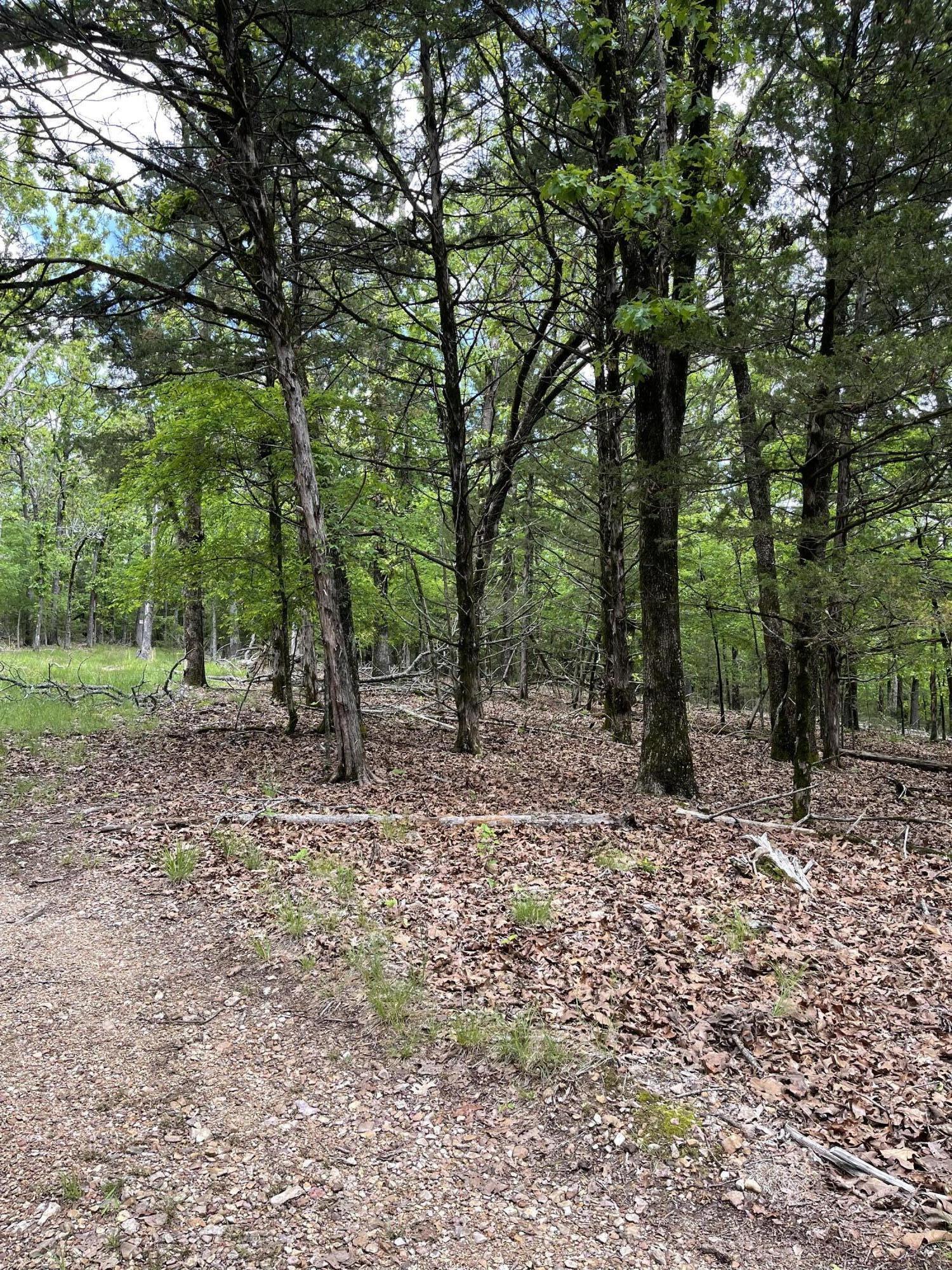 Photo 5 - Land for sale – Lot 40&41  Timber Shoals Road   Cedar Creek, MO