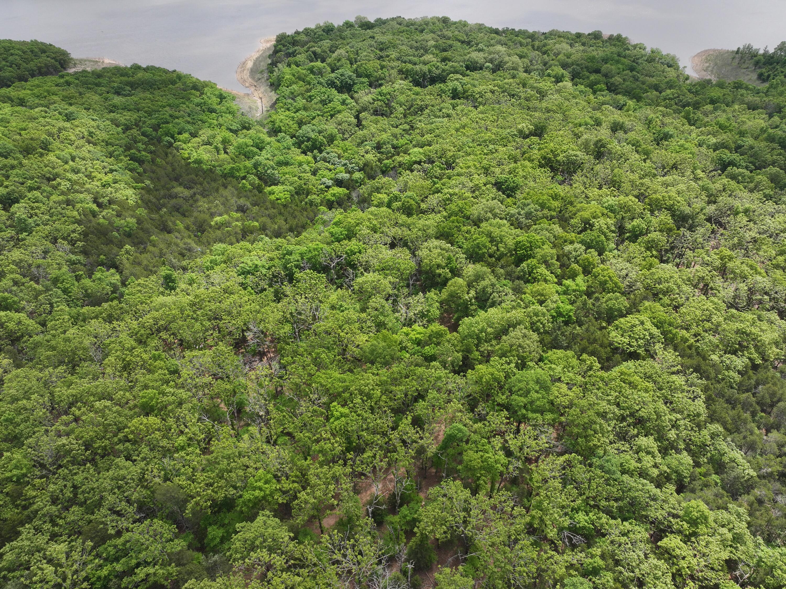 Photo 8 - Land for sale – Lot 40&41  Timber Shoals Road   Cedar Creek, MO