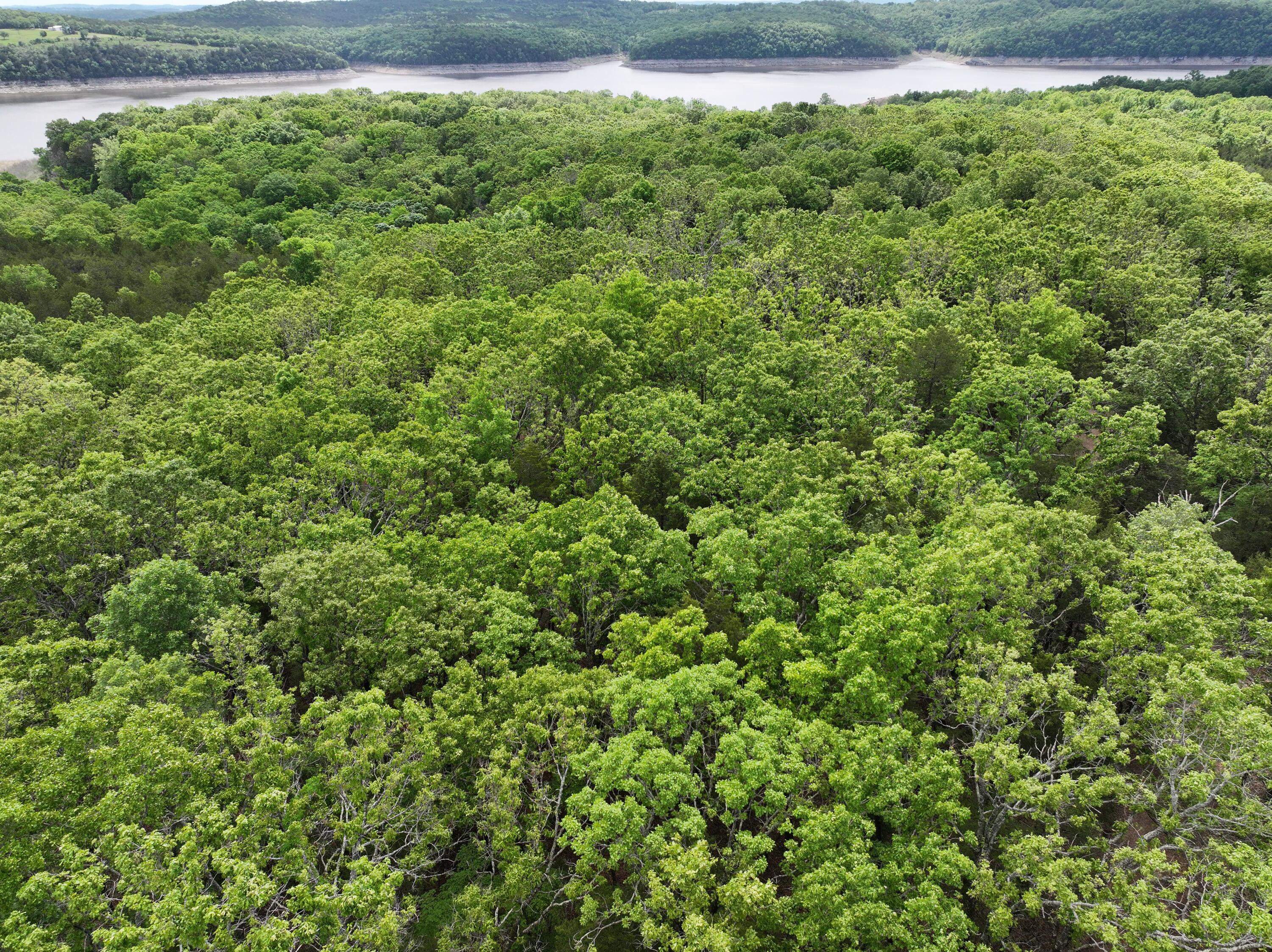 Photo 17 - Land for sale – Lot 40&41  Timber Shoals Road   Cedar Creek, MO