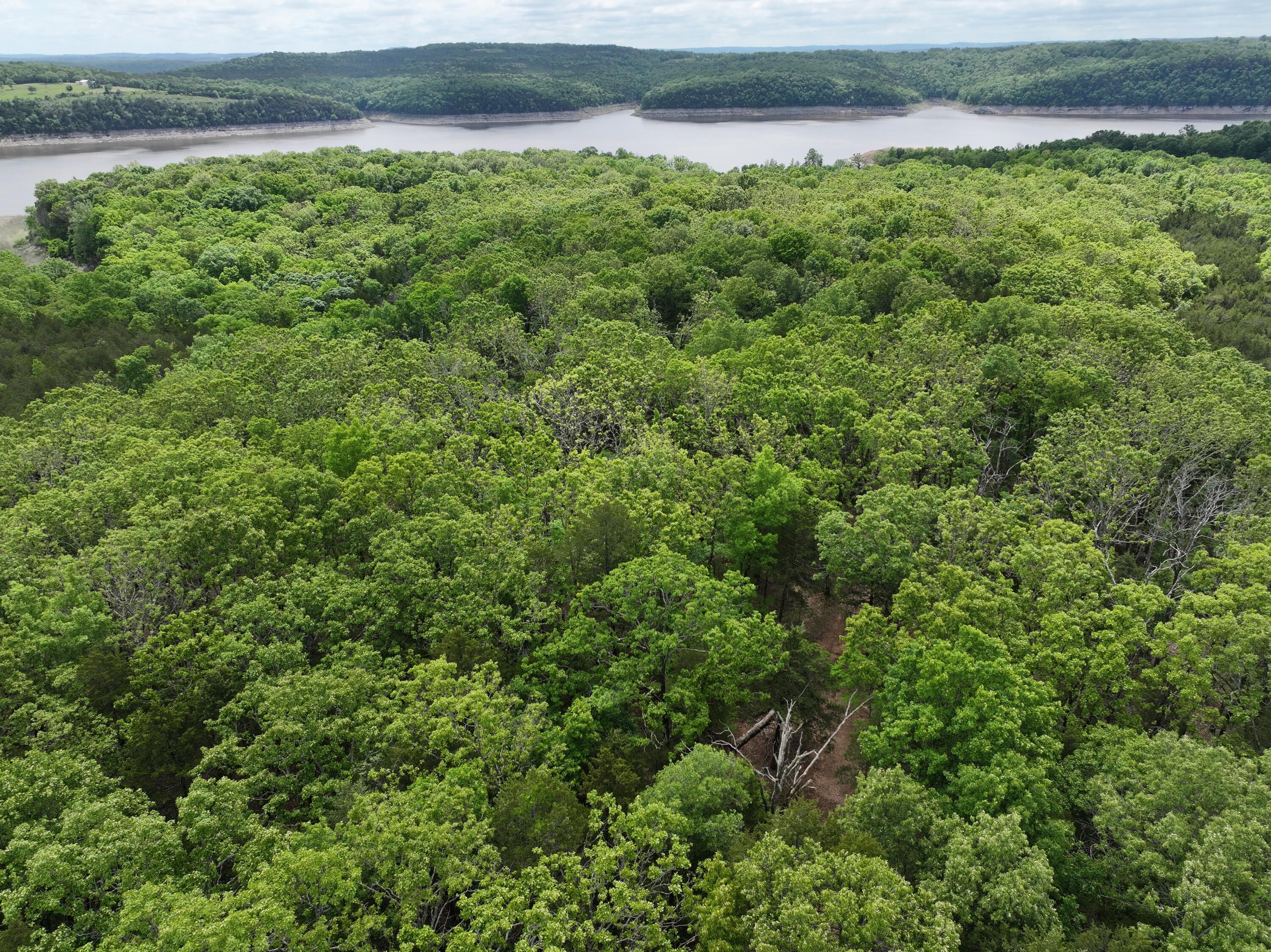 Land for sale – Lot 40&41  Timber Shoals Road   Cedar Creek, MO