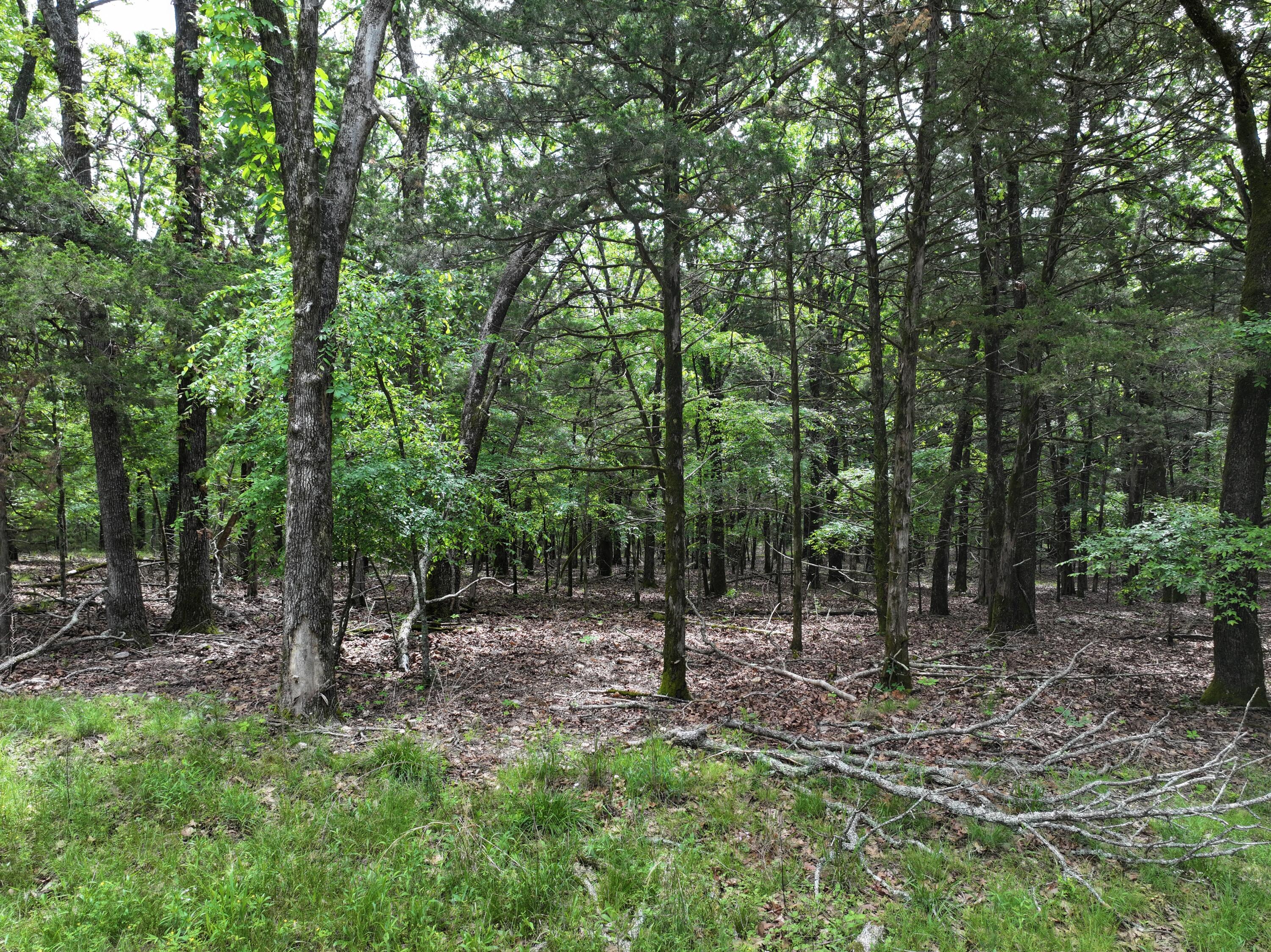 Photo 2 - Land for sale – Lot 40&41  Timber Shoals Road   Cedar Creek, MO