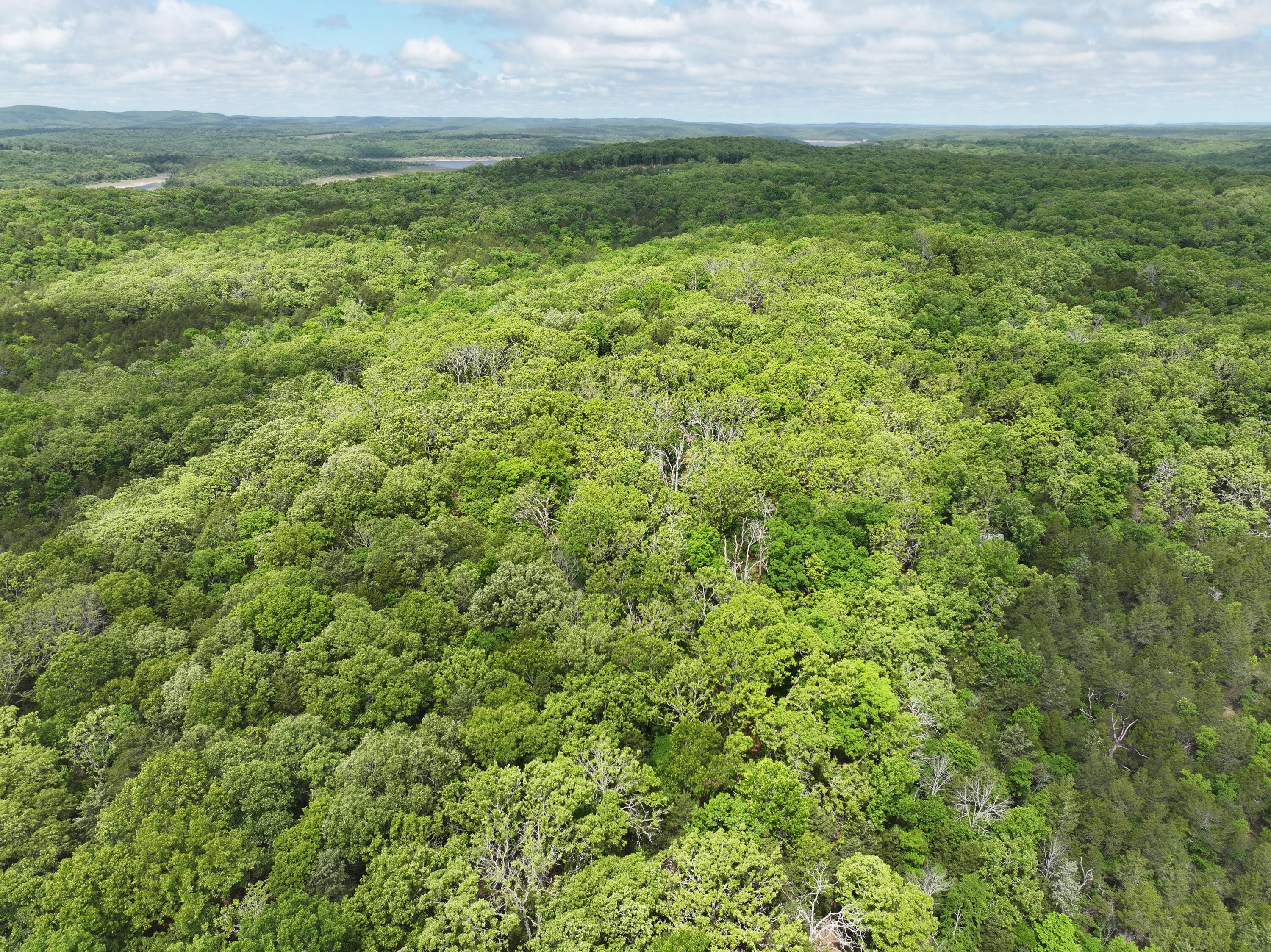 Photo 12 - Land for sale – Lot 40&41  Timber Shoals Road   Cedar Creek, MO